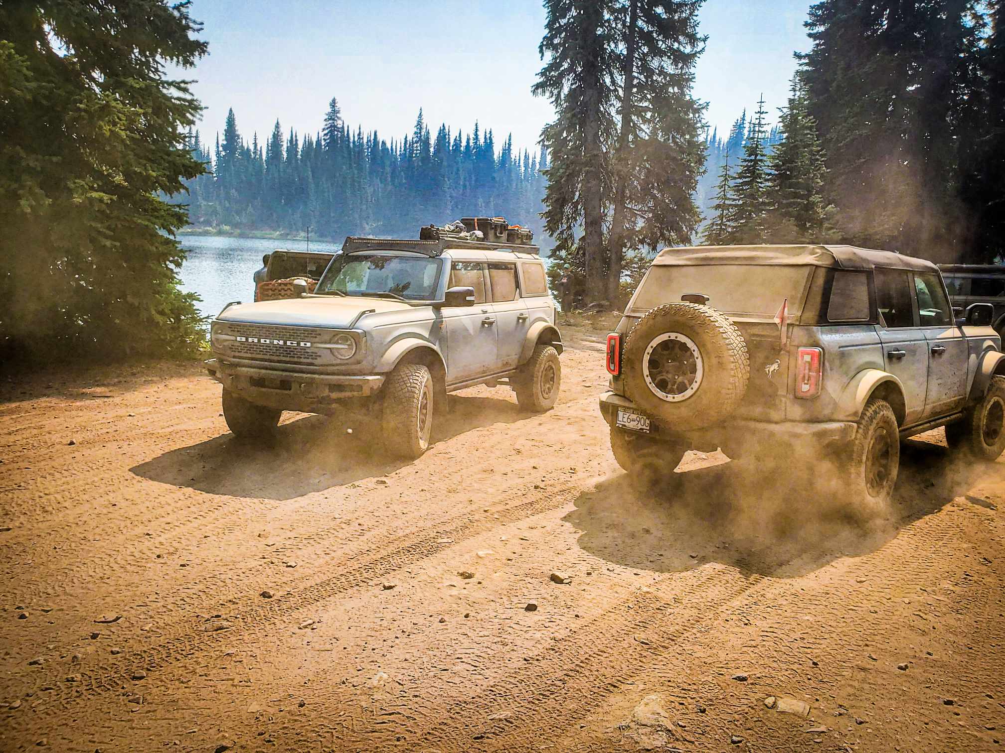 Ford Bronco Taking large dogs on long trips? received_2165474946989864