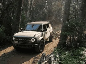 Ford Bronco Taking large dogs on long trips? image (5)