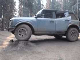 Ford Bronco Taking large dogs on long trips? imag