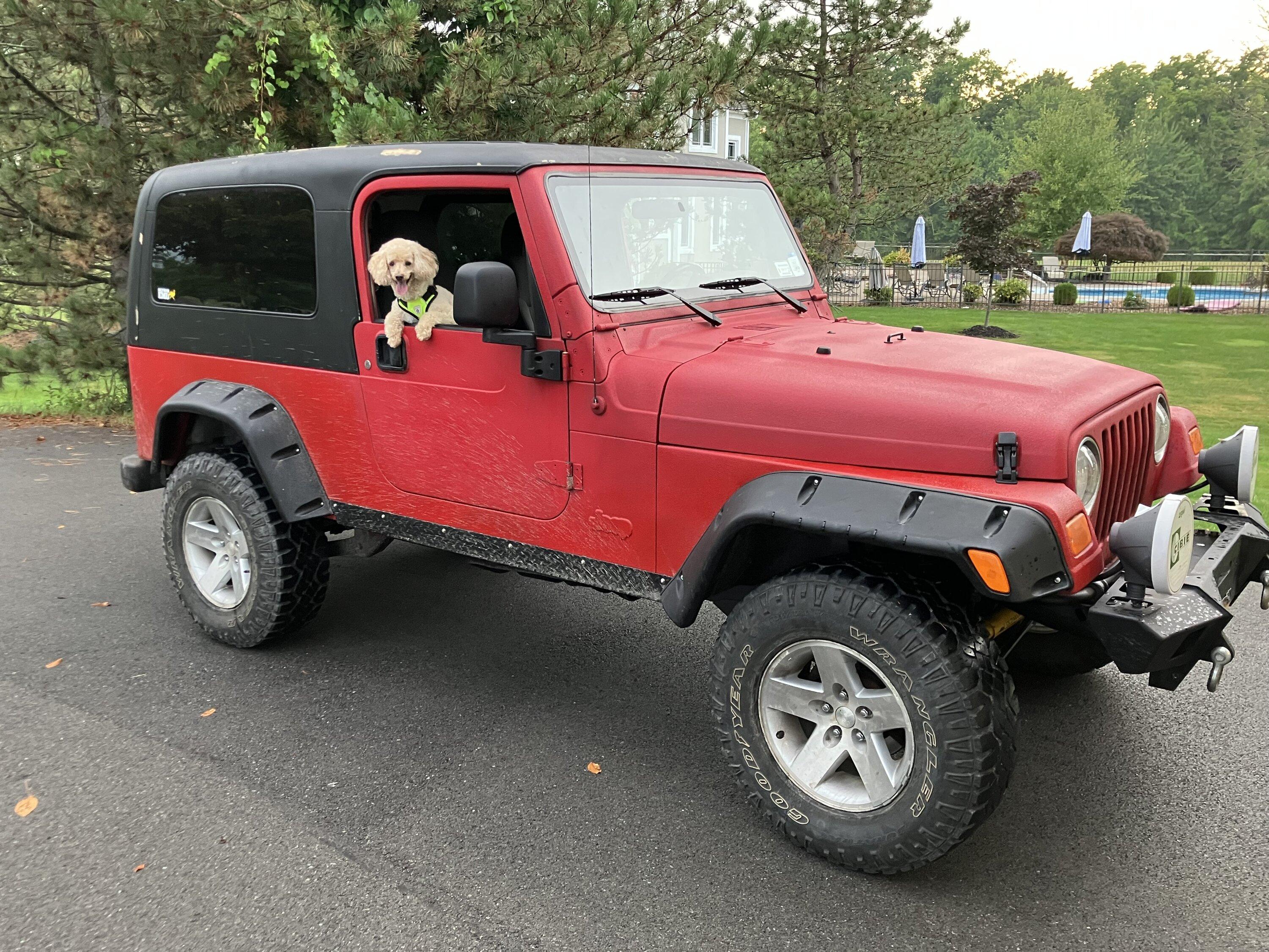 Ford Bronco 2 Doors and 3 Pedals IMG_3657