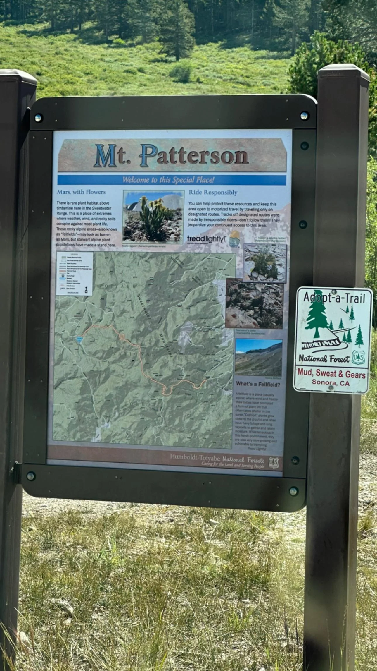 Ford Bronco BaseSquatch @ 11,654ft Mt. Patterson 🗻 B61FB6ED-5AC1-4B3B-B15D-C04273AFFB6C