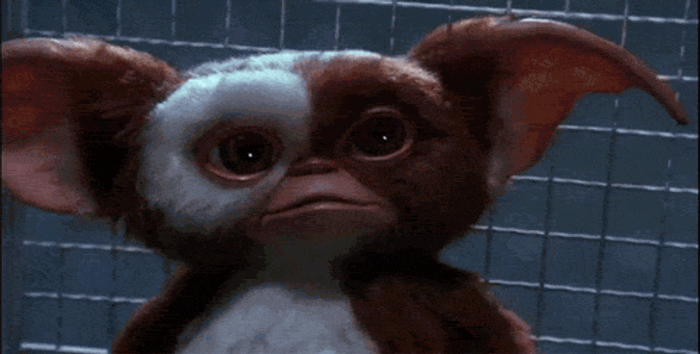 Ford Bronco Could not shut off Bronco tonight gizmo-gremlins