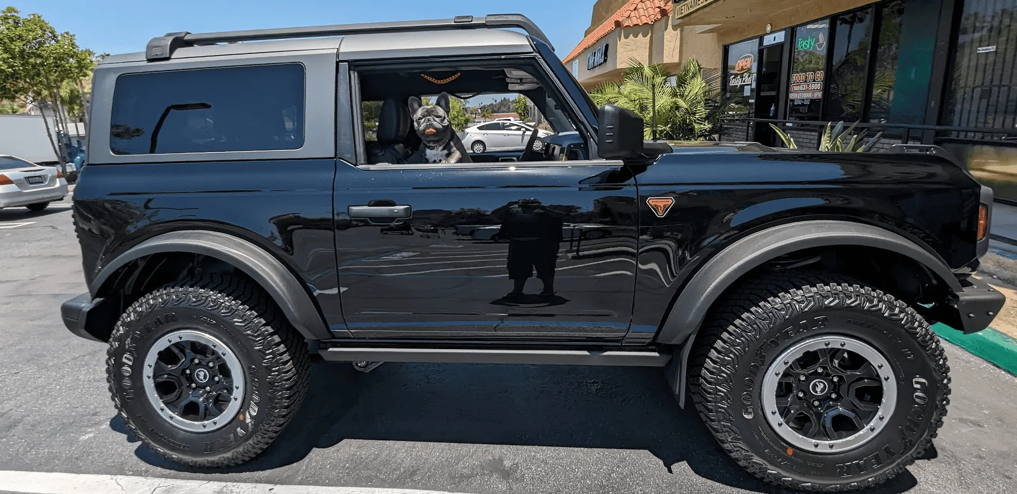 Ford Bronco Love Dogs 1693445117761