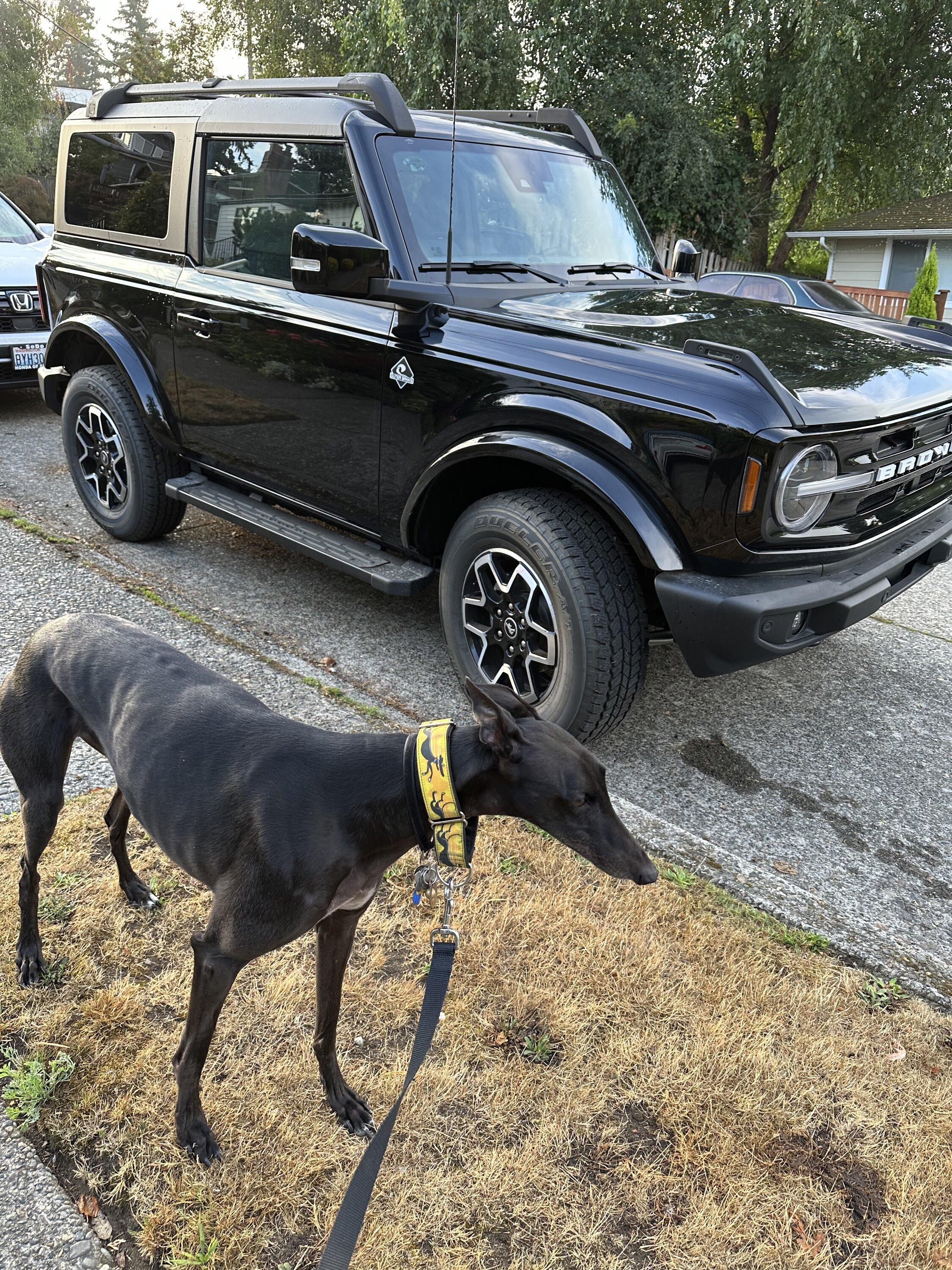 Ford Bronco Bronco Team 2 door. IMG_4917