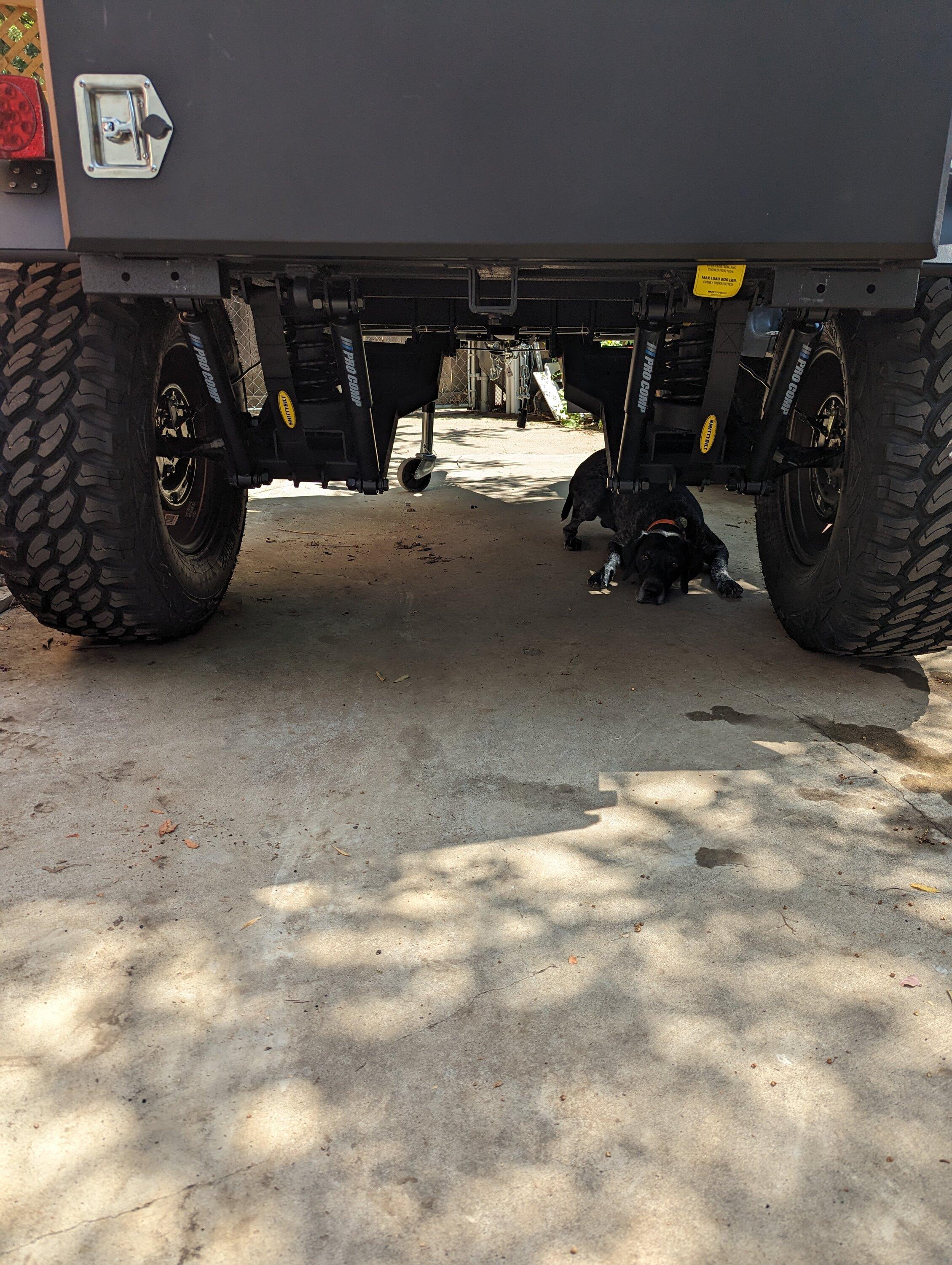 Ford Bronco Smittybilt scout bolt pattern PXL_20230902_193224648