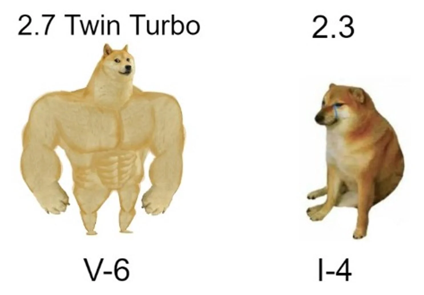 feQTSnF.webp