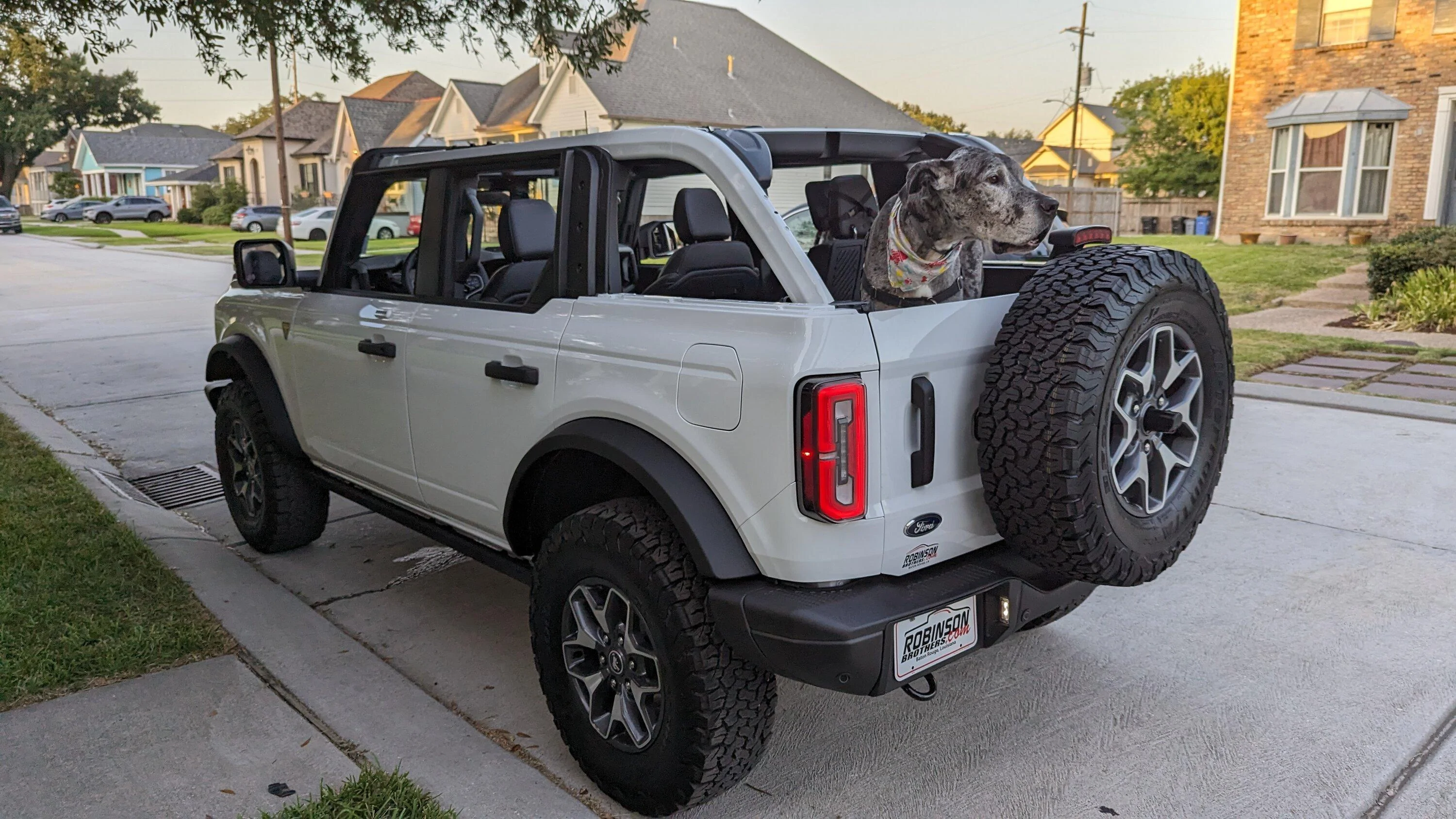 Ford Bronco DOG! DOG! DOG! PXL_20230813_002019782.MP