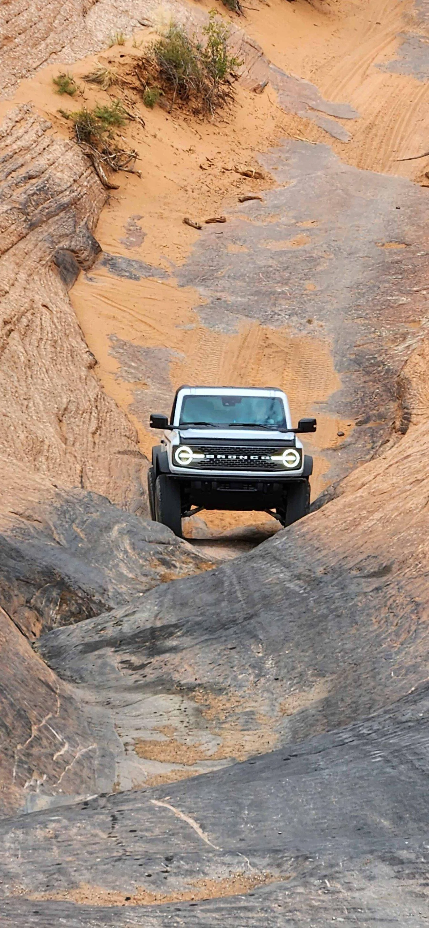 Ford Bronco What did you do TO / WITH your Bronco today? 👨🏻‍🔧🧰🚿🛠 Trail 2