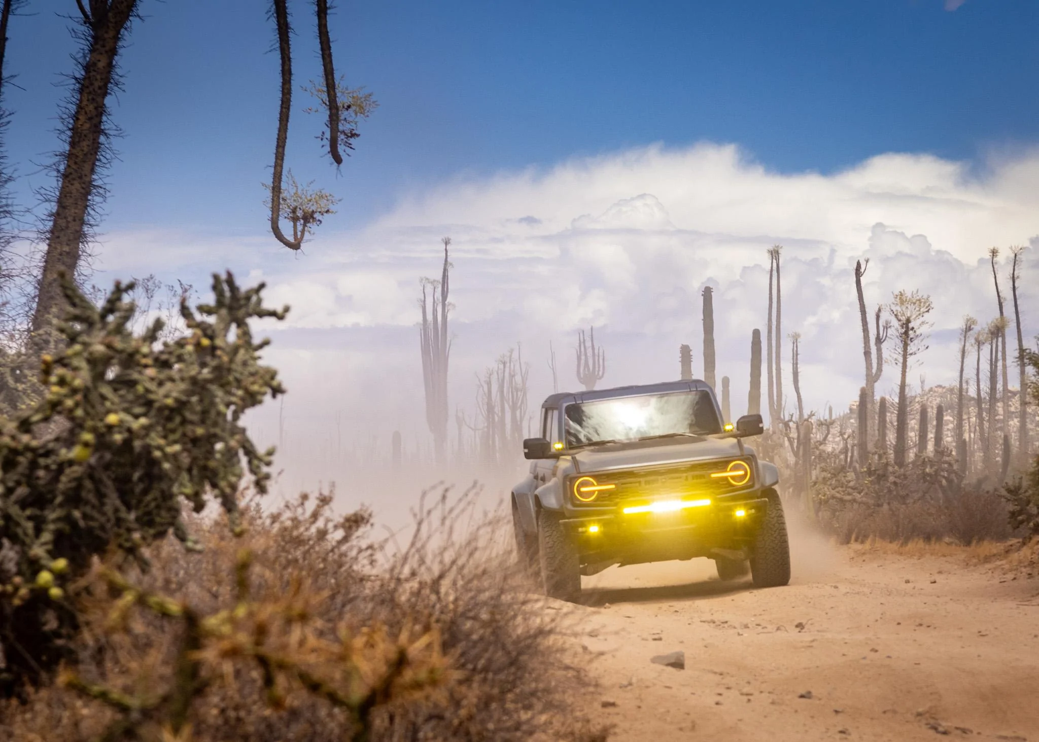Ford Bronco Bronco Raptor Build for EXO Baja 1K4A5726