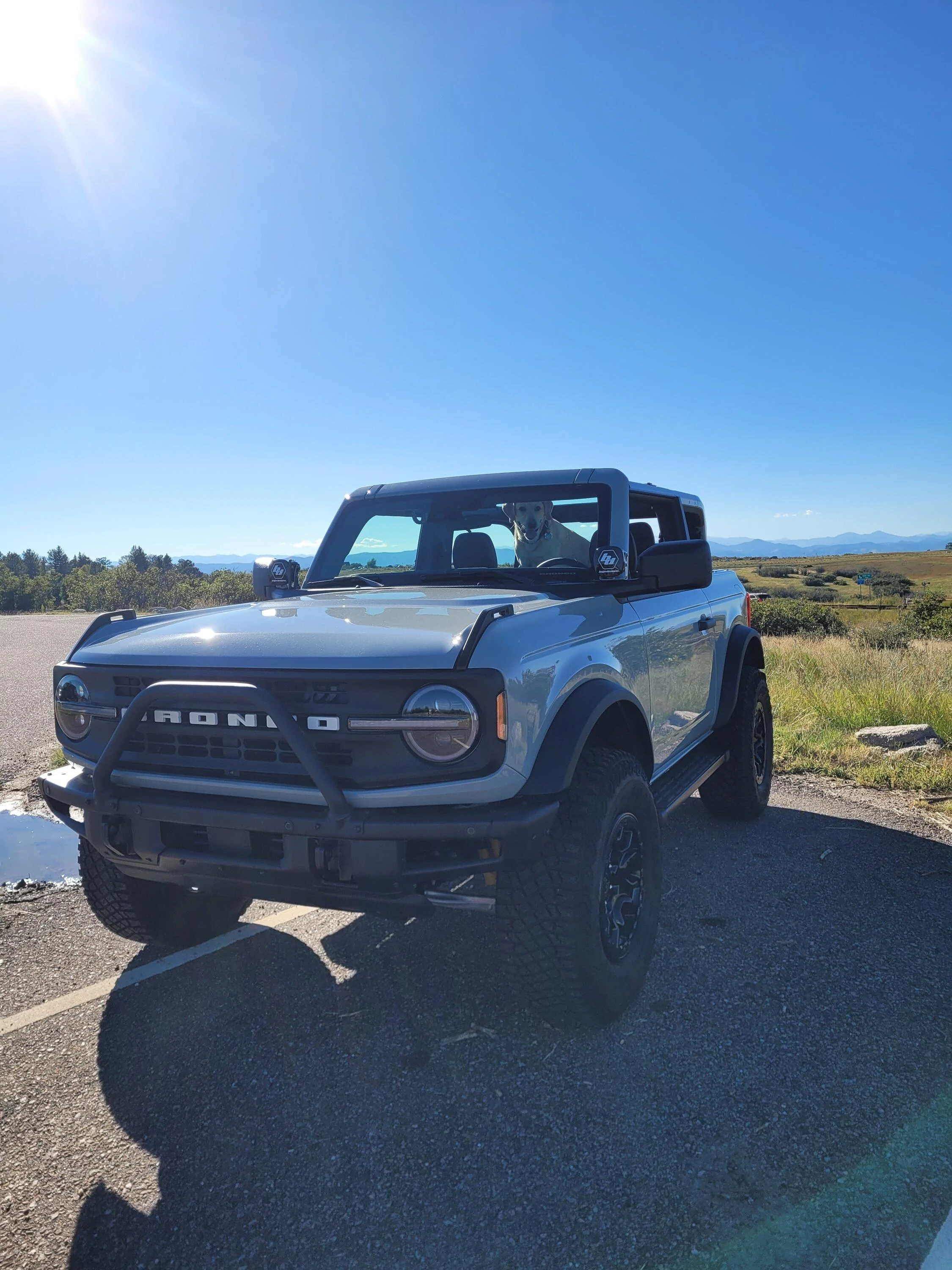 Bronco 1.jpg