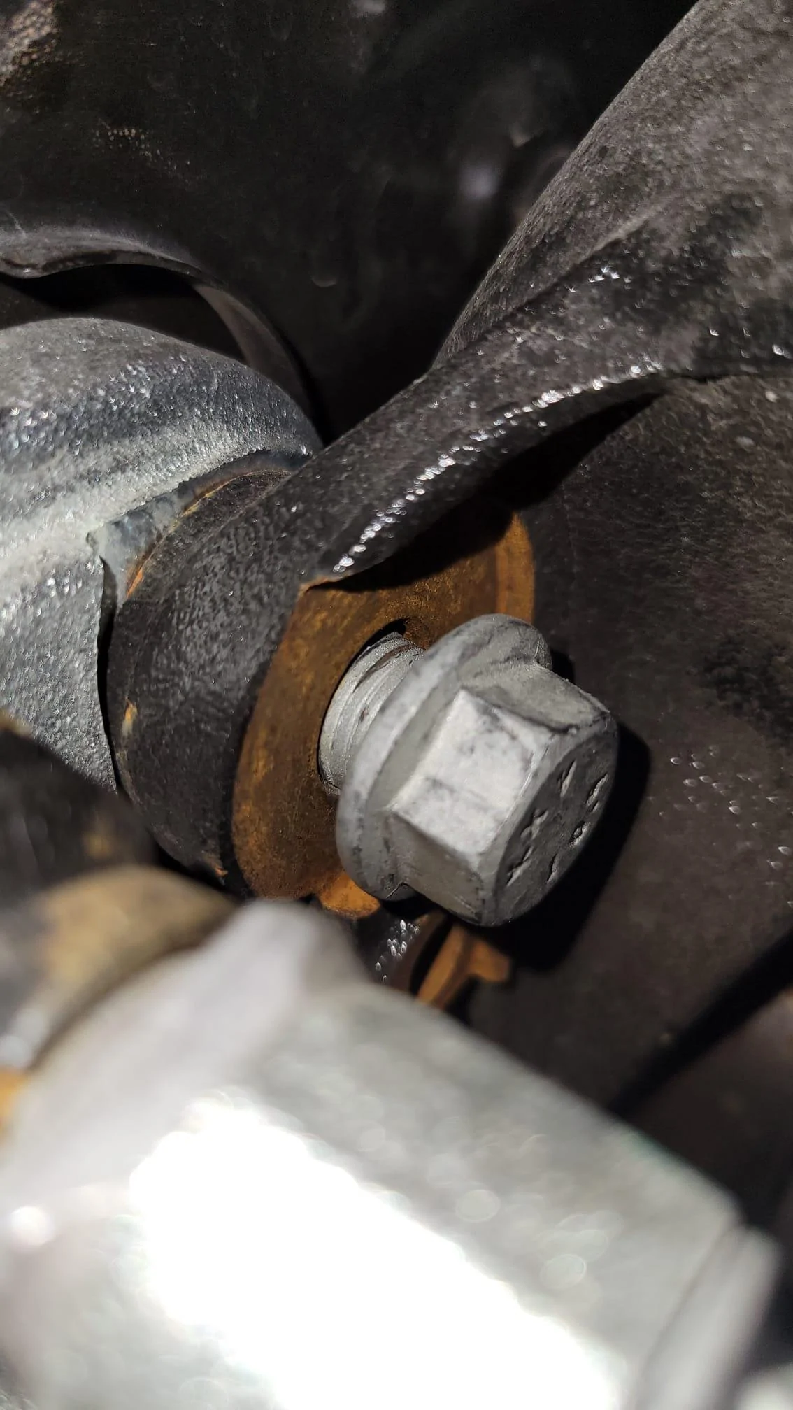 Ford Bronco Help Please: Caliper Bolt loose / damaged caliper base? WhatsApp Image 2023-09-20 at 9.40.09 AM