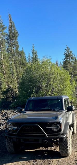 Ford Bronco Front End Friday (add yours) bronco1