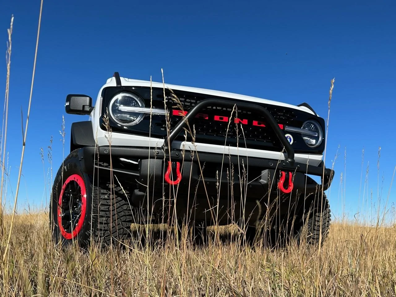 Ford Bronco SQUATCHIMOTO is mostly complete IMG_3487