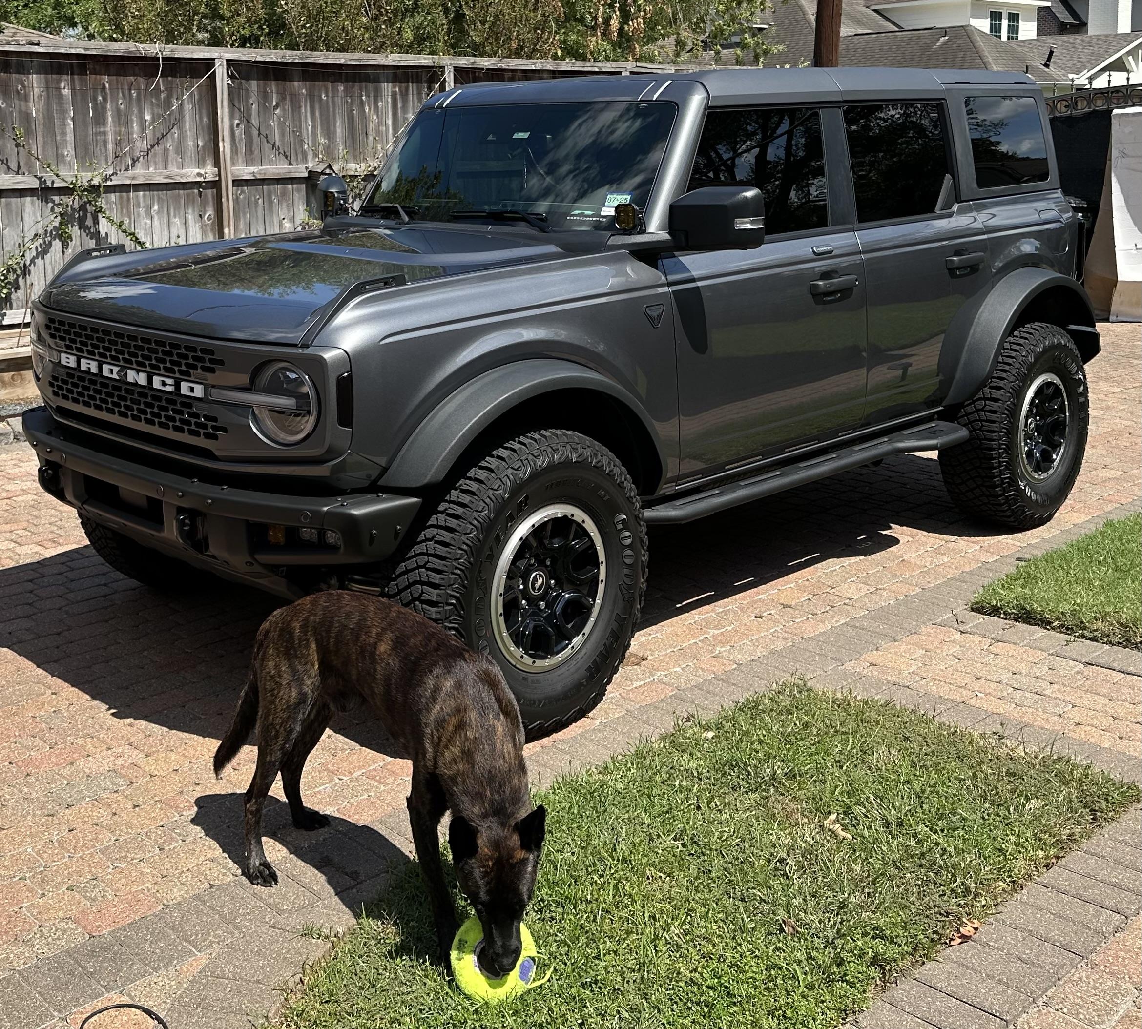 Ford Bronco Lets Talk Window Tint.  How dark did you go ? ? ? ? IMG_0900