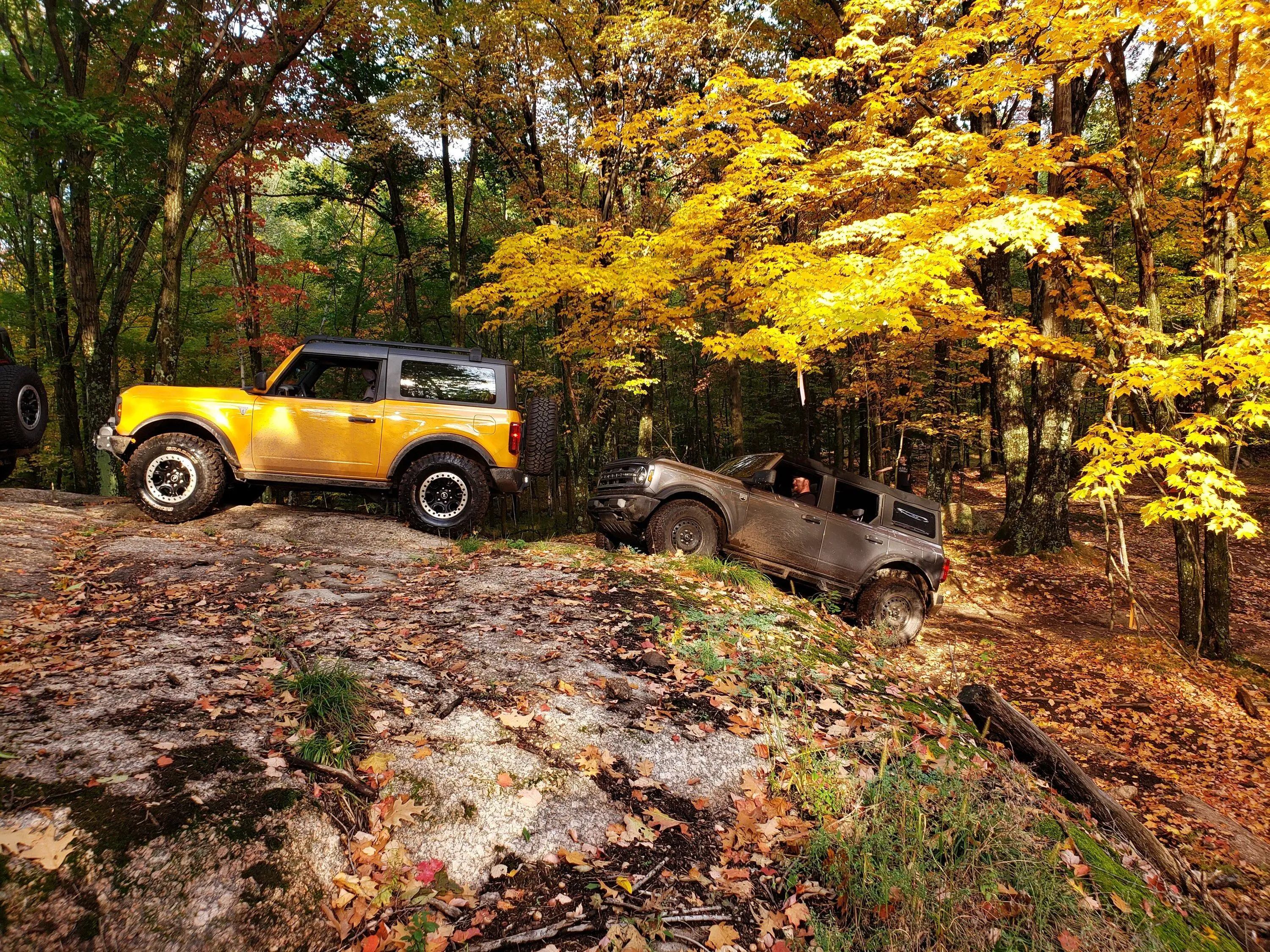Ford Bronco A "soupy" 1st day of fall in Tigerton, WI 20230923_165847