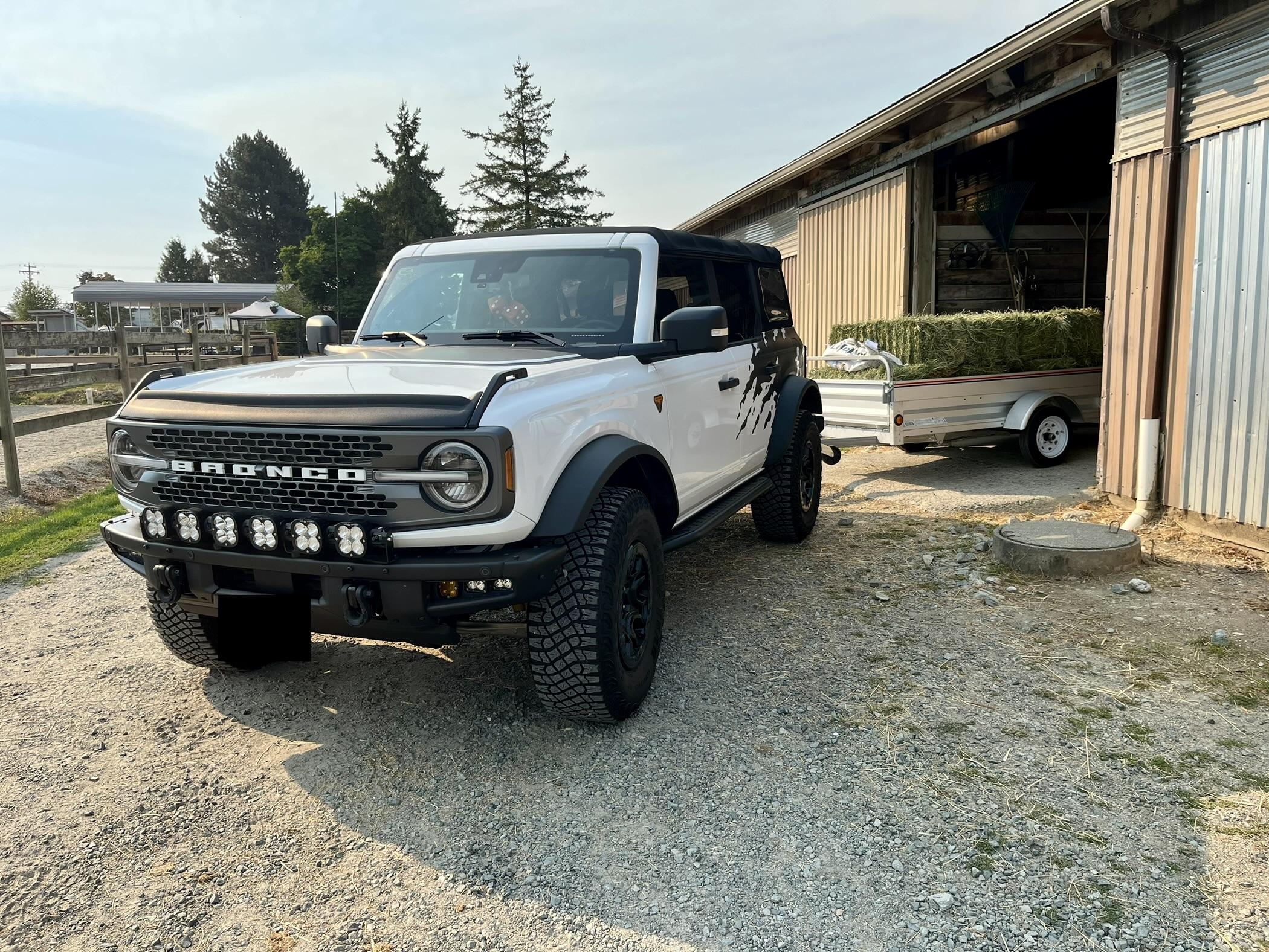 Ford Bronco Bug shield hood deflector. IMG_3371