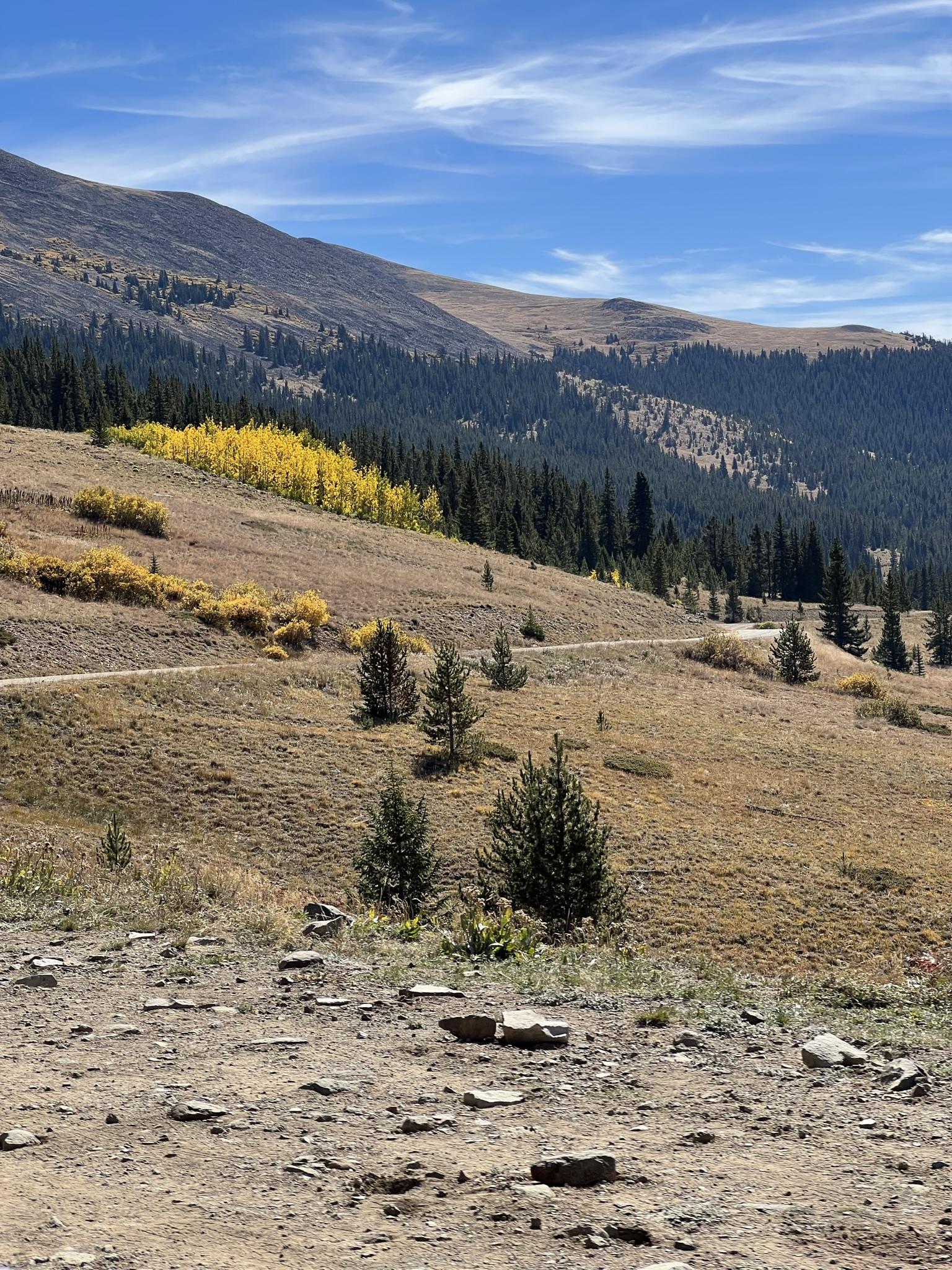 Ford Bronco Just back from Colorado off-road tour. 7 trails completed E05BC330-F85A-4FDE-88DC-CF8BF59181B5