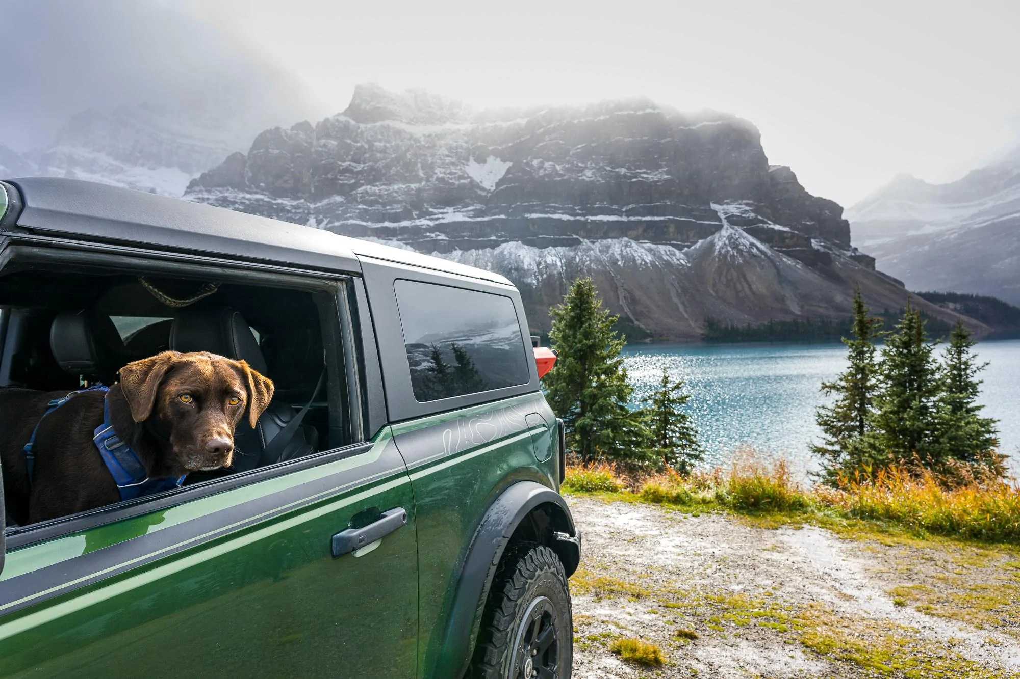 Ford Bronco DOG! DOG! DOG! September 28, 2023_8413-LR