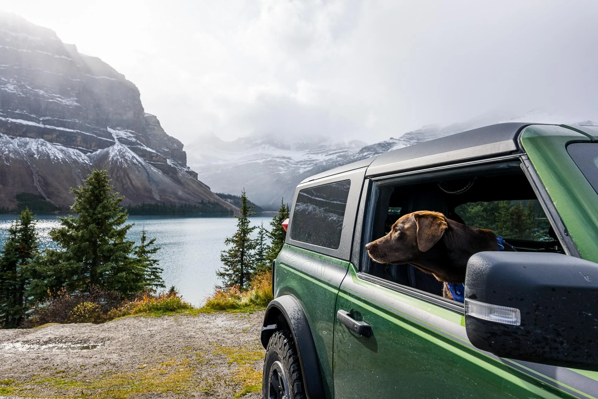 Ford Bronco DOG! DOG! DOG! September 28, 2023_8381-LR