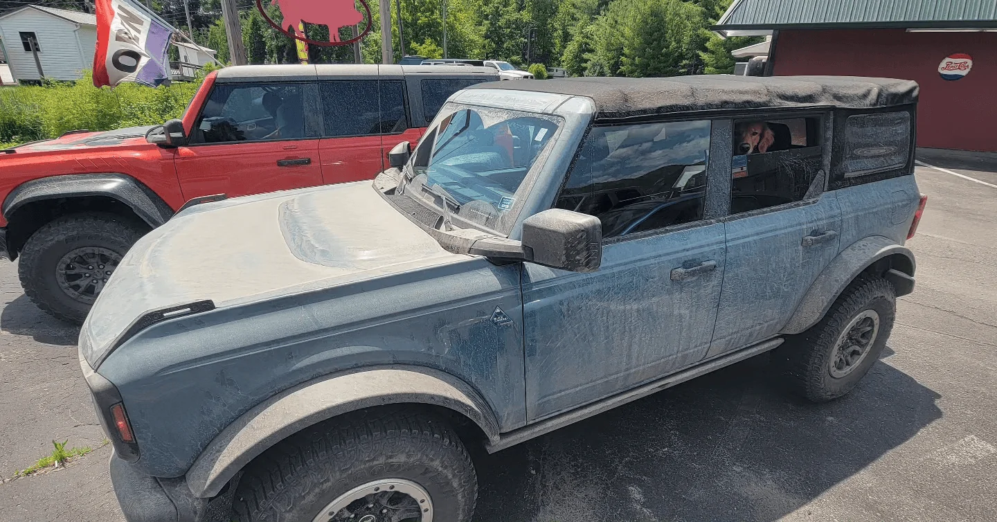 Ford Bronco DOG! DOG! DOG! 1696418199574