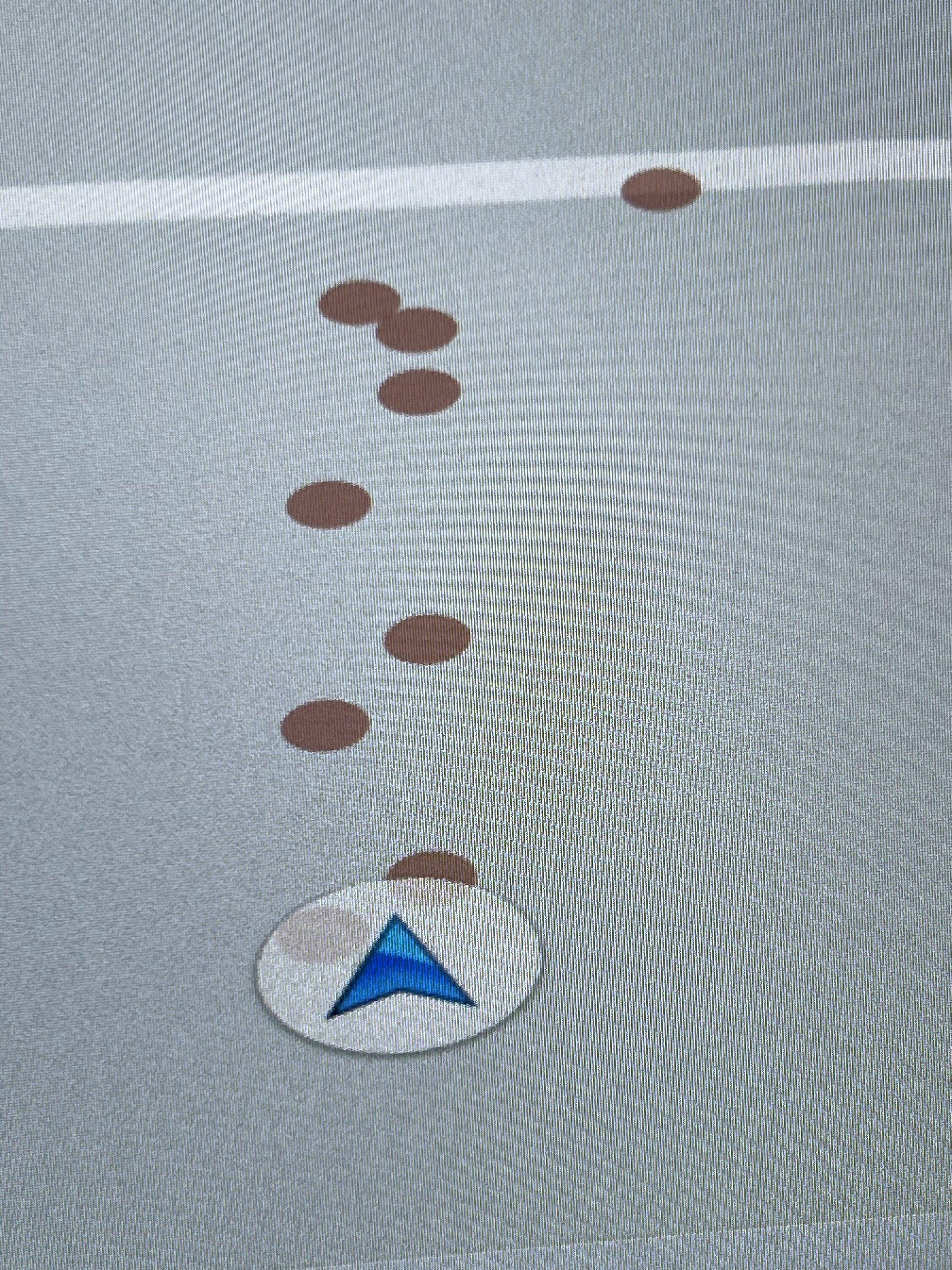 Ford Bronco Brown dots in Sync Nav IMG_1237