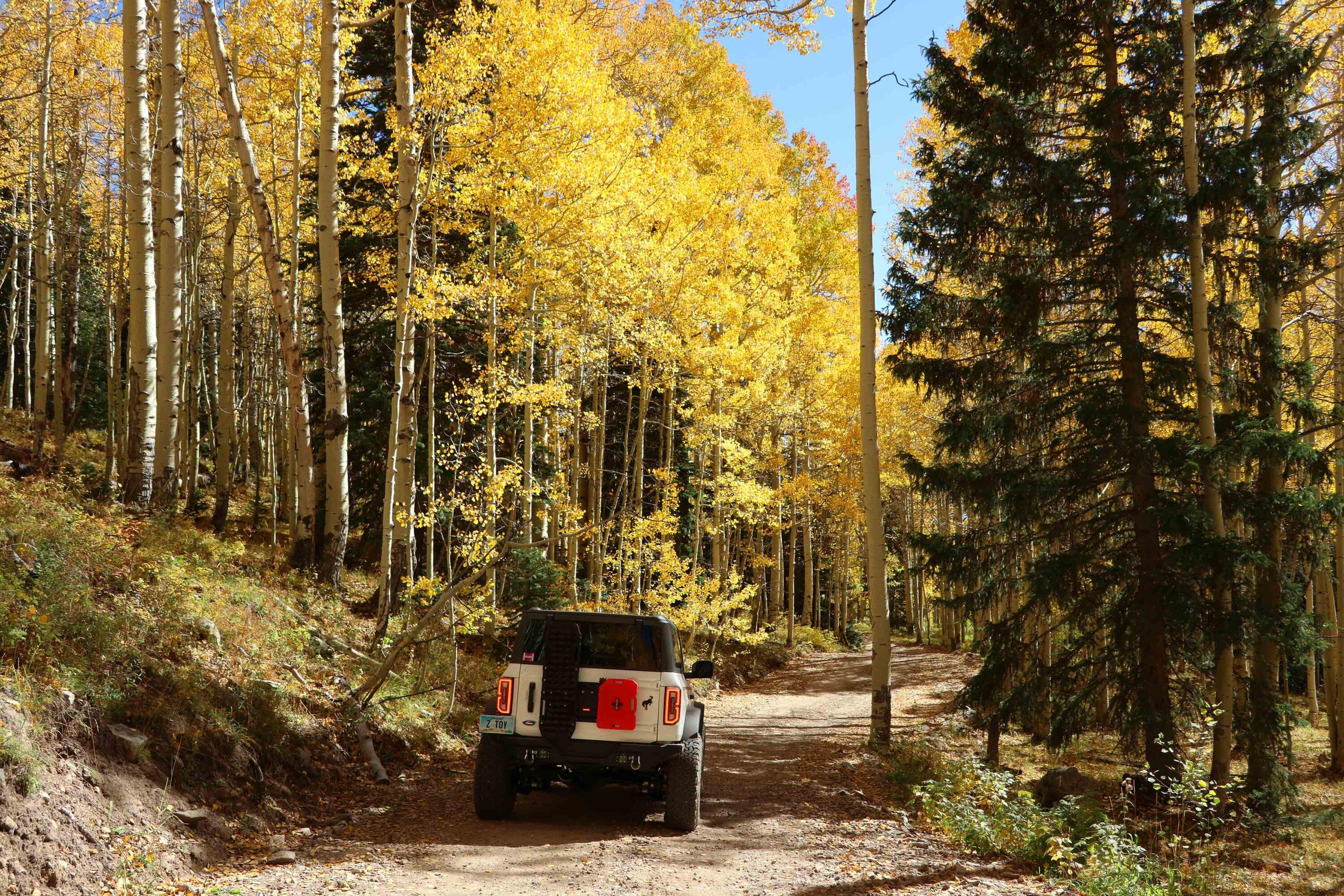 Trail 2.jpg