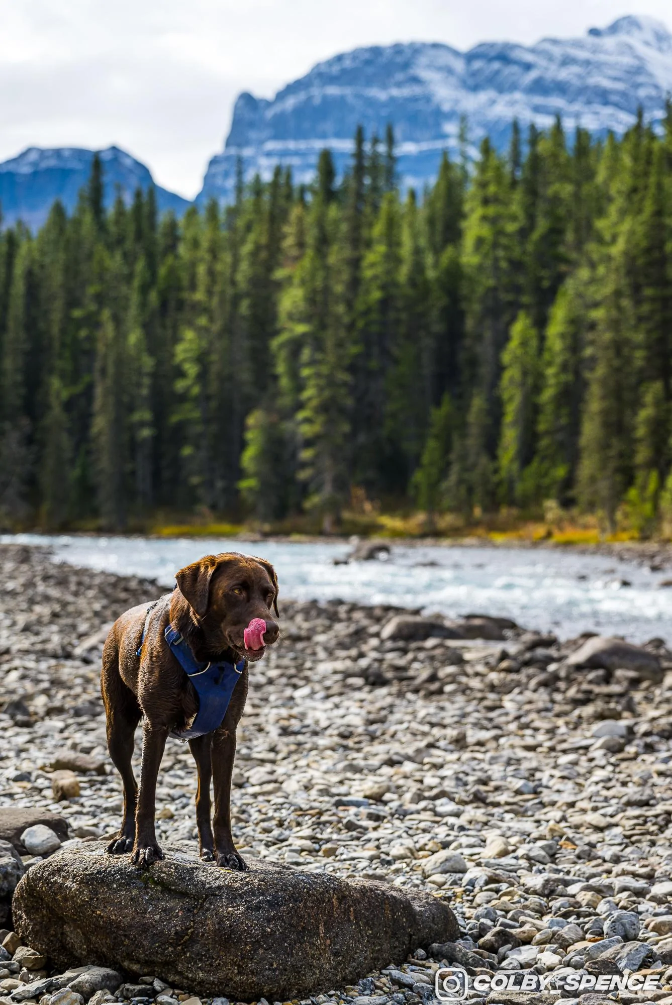 Ford Bronco Pup and Peaks September 24, 2023_2922