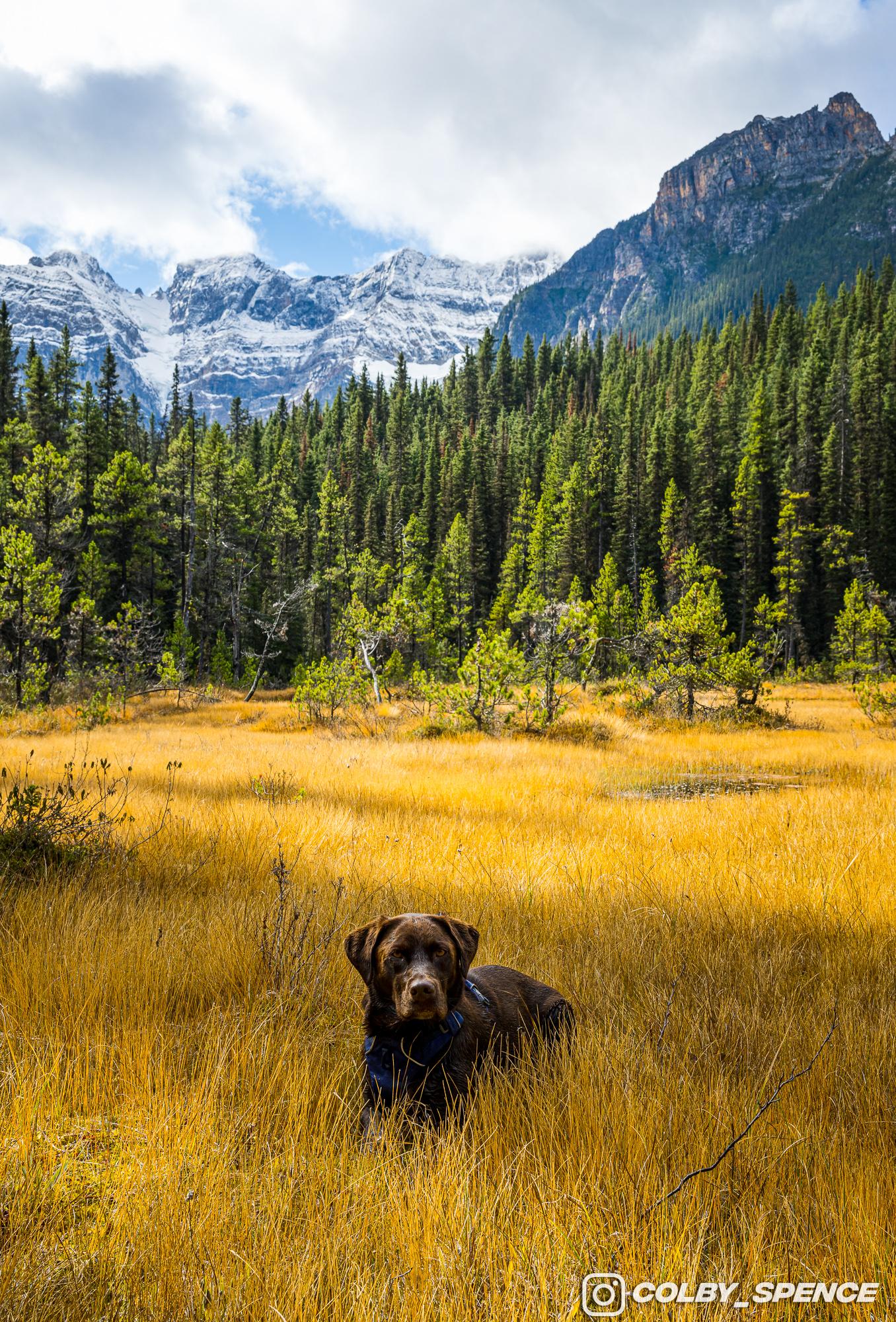 Ford Bronco Pup and Peaks September 24, 2023_3186