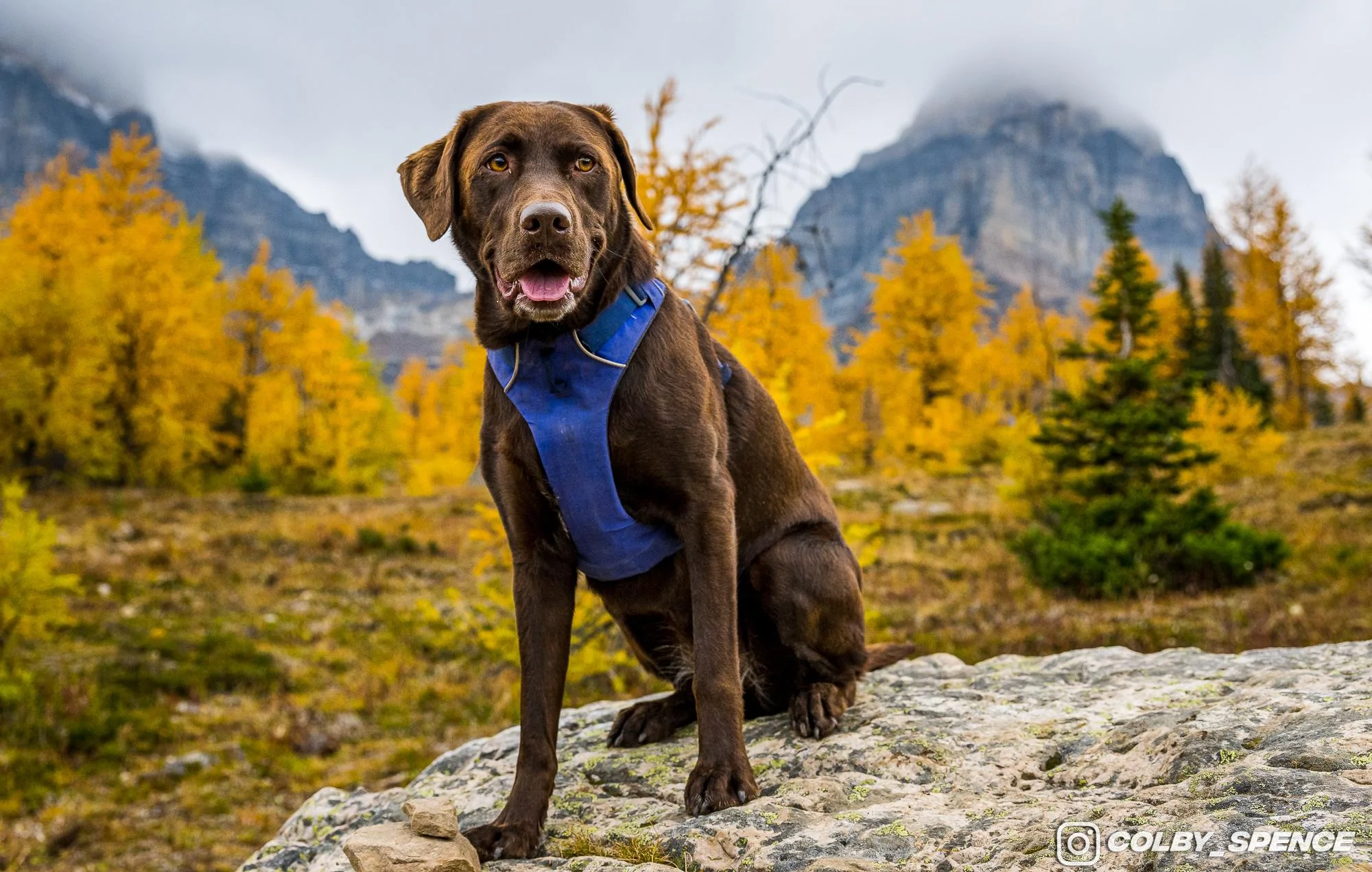 Ford Bronco Pup and Peaks September 25, 2023_4694
