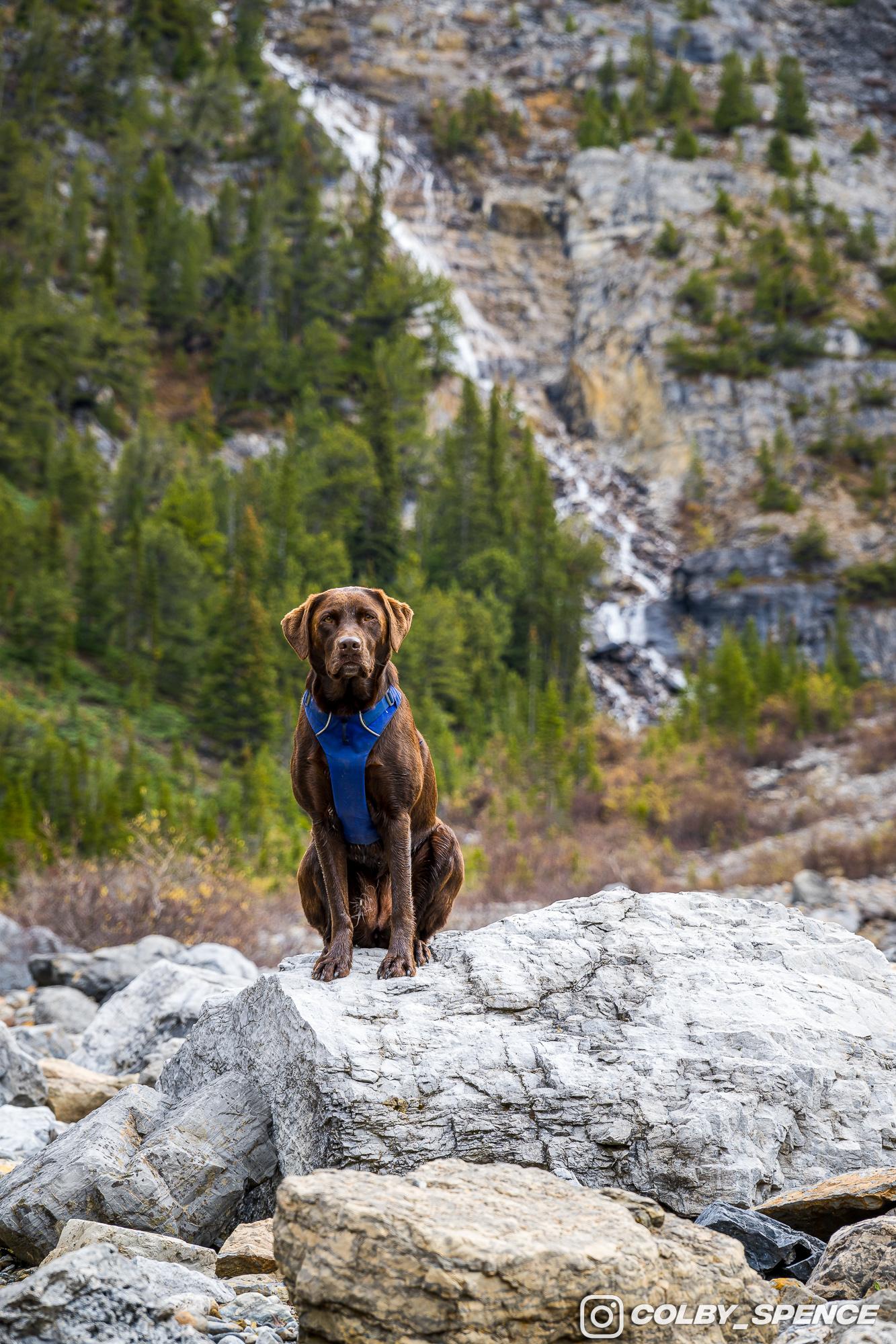 Ford Bronco Pup and Peaks September 27, 2023_7576