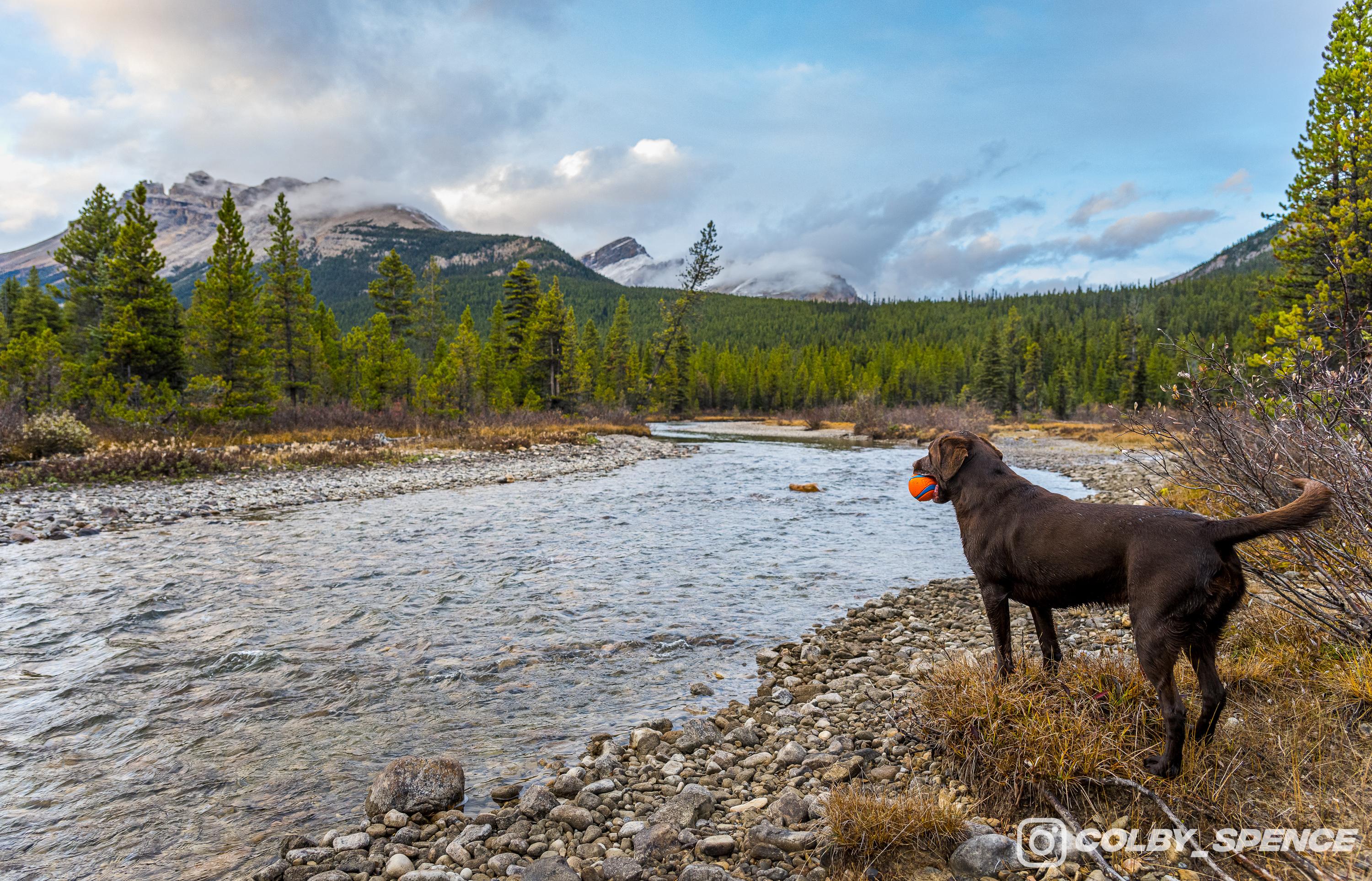 Ford Bronco Pup and Peaks September 28, 2023_8681