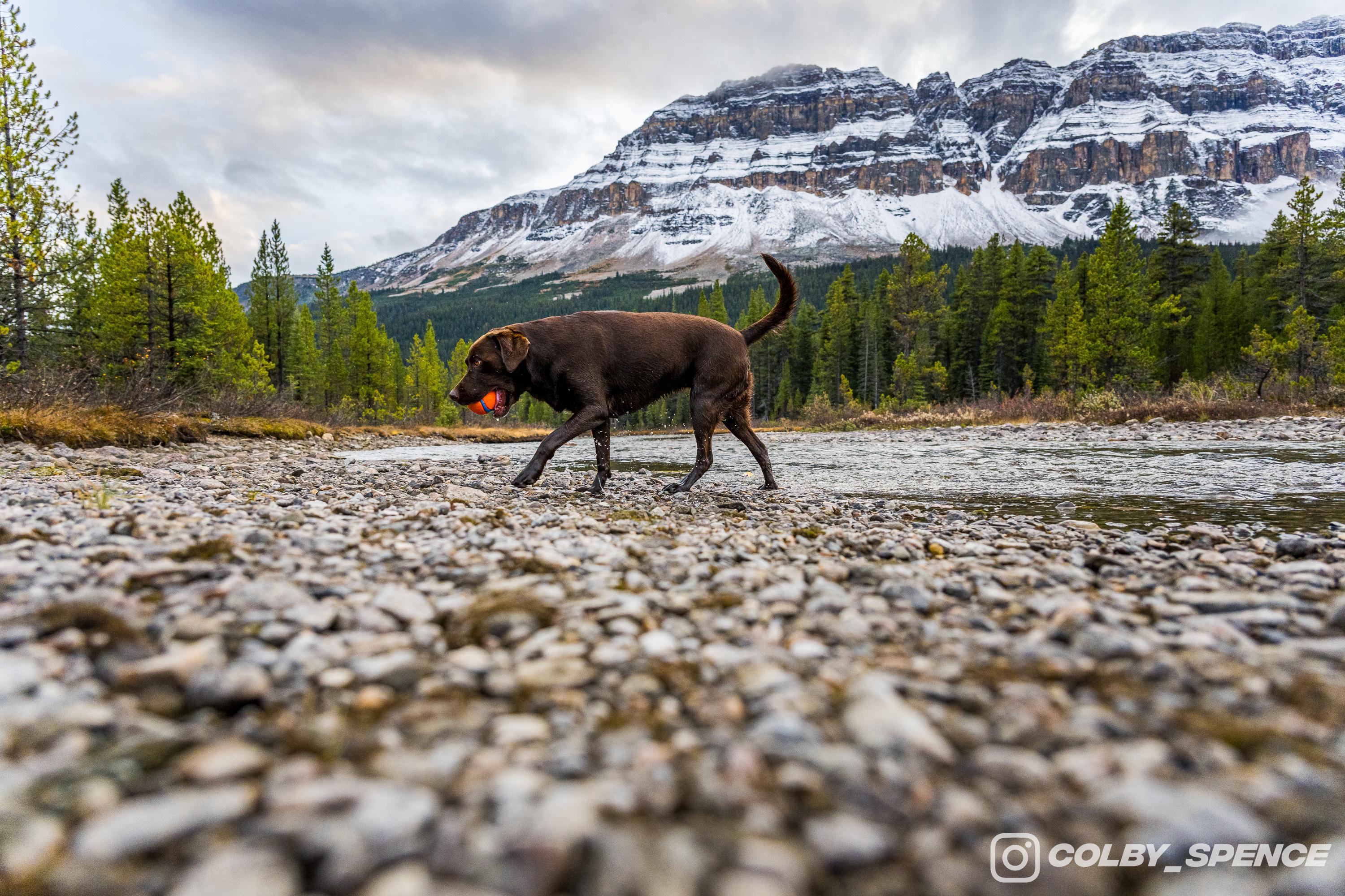 Ford Bronco Pup and Peaks September 28, 2023_8712