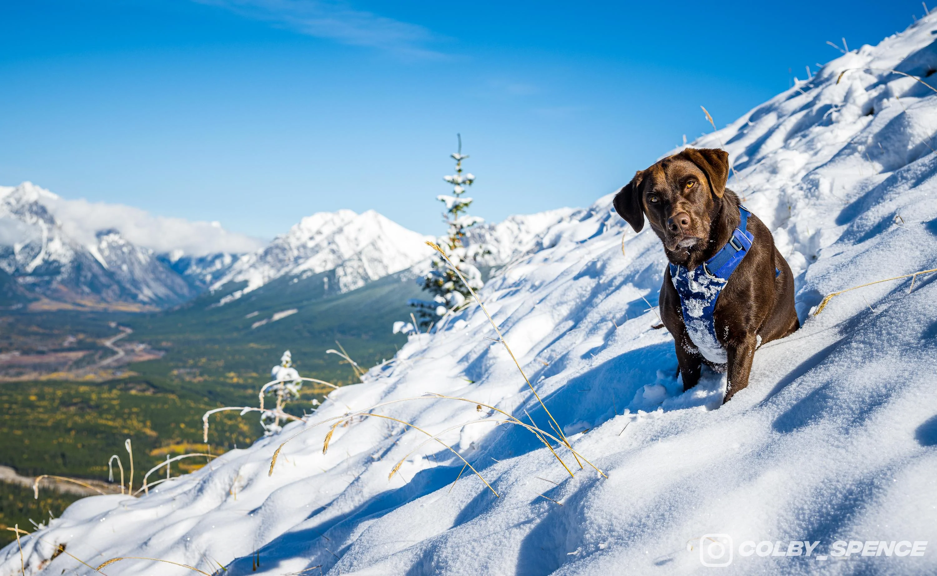 Ford Bronco Pup and Peaks October 01, 2023_0358