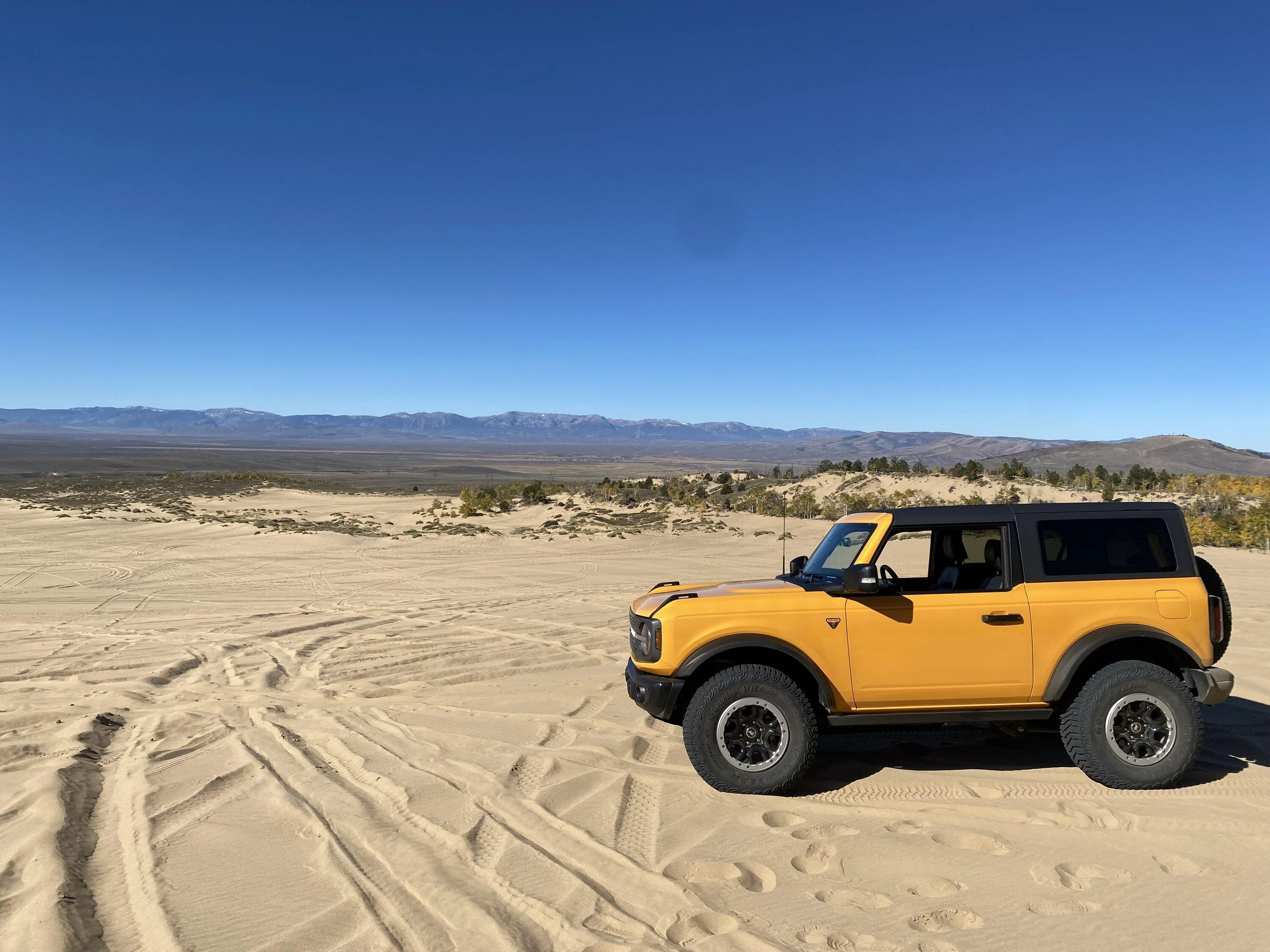 Ford Bronco Bronco Team 2 door. IMG_4129