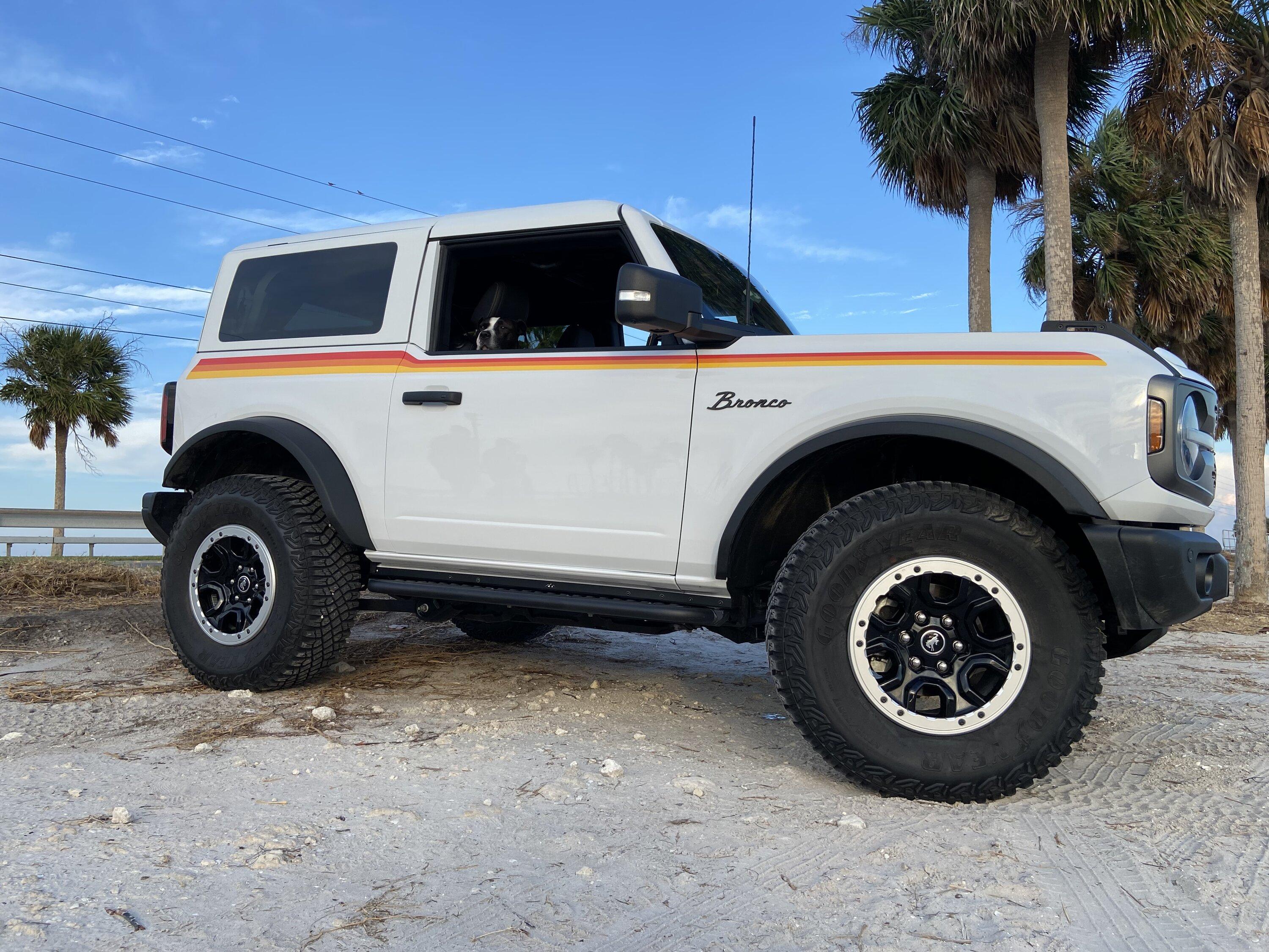 Ford Bronco Show me your Bronco - Graphics / Decals / Wrapped Edition IMG_1848
