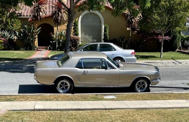 Ford Bronco Why I buy Blue Oval! Mustang 6