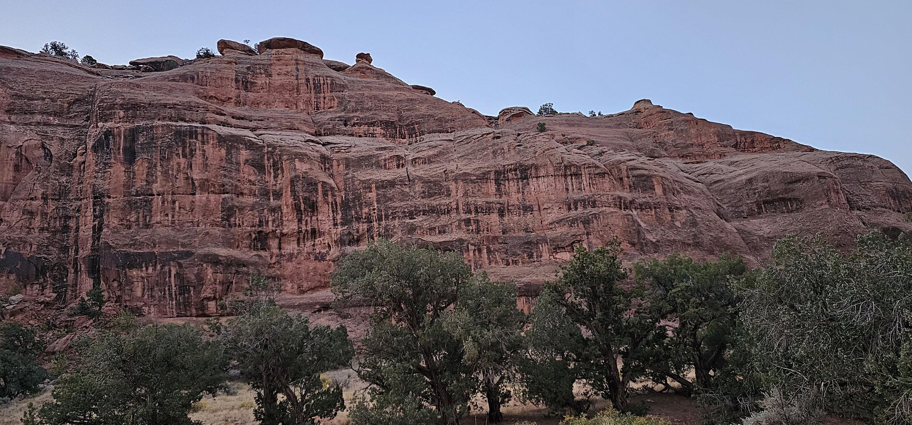 20231008_070712.jpg