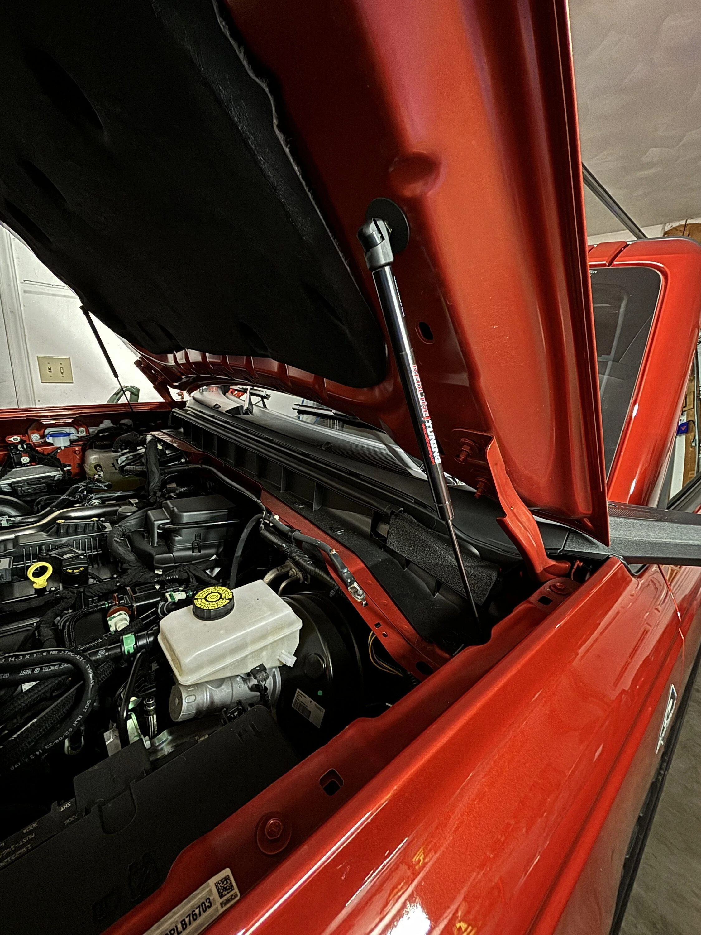 Ford Bronco Got hood struts? IMG_0042