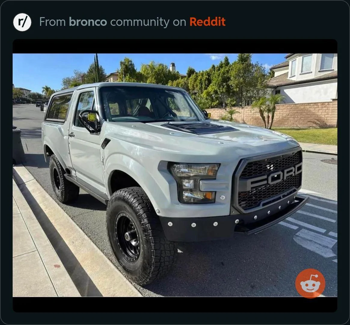 Ford Bronco 1993 Kinda Braptor IMG_5532