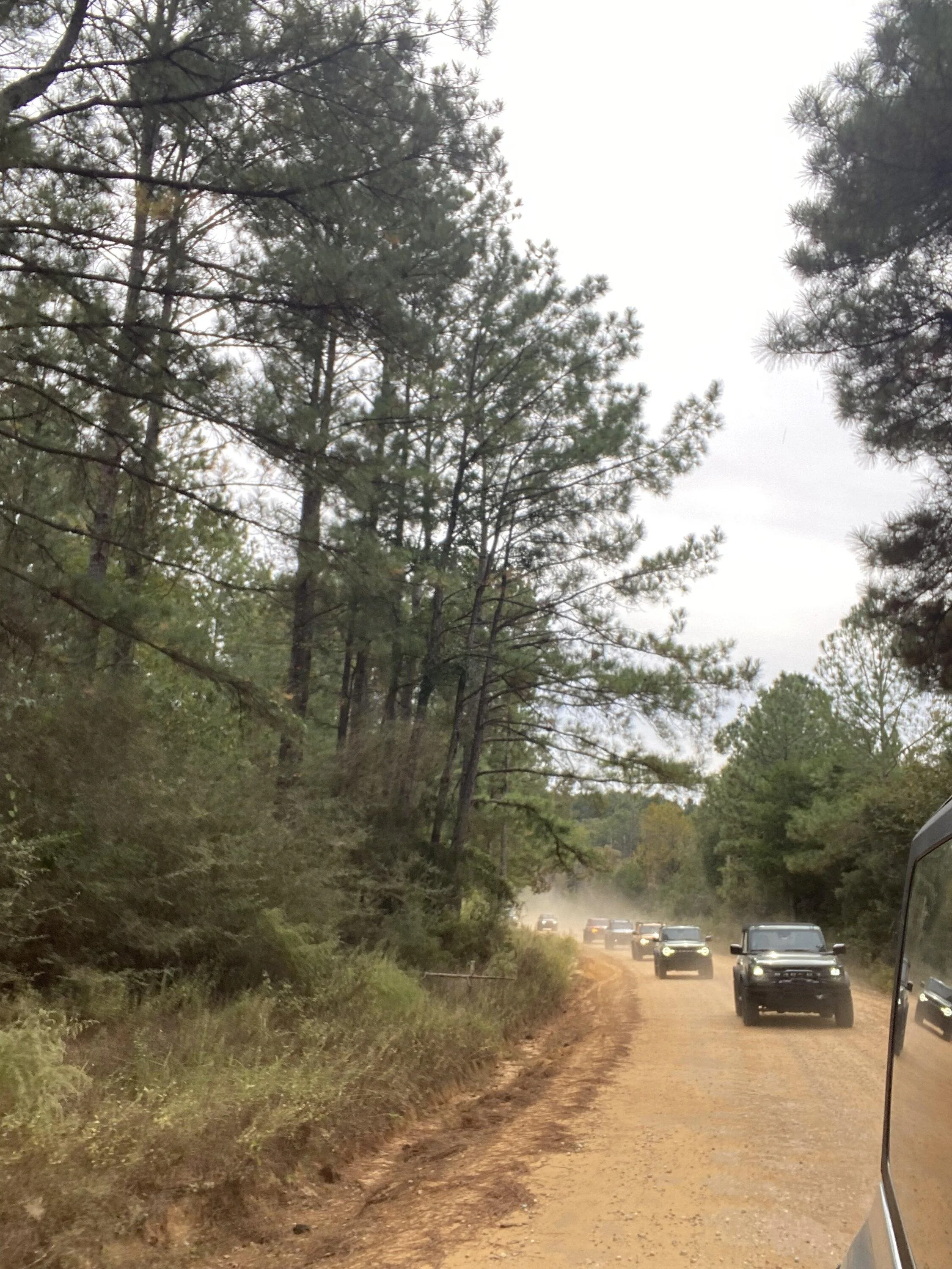 Ford Bronco Fall Forest Drive Through Conecuh National Forest IMG_6974