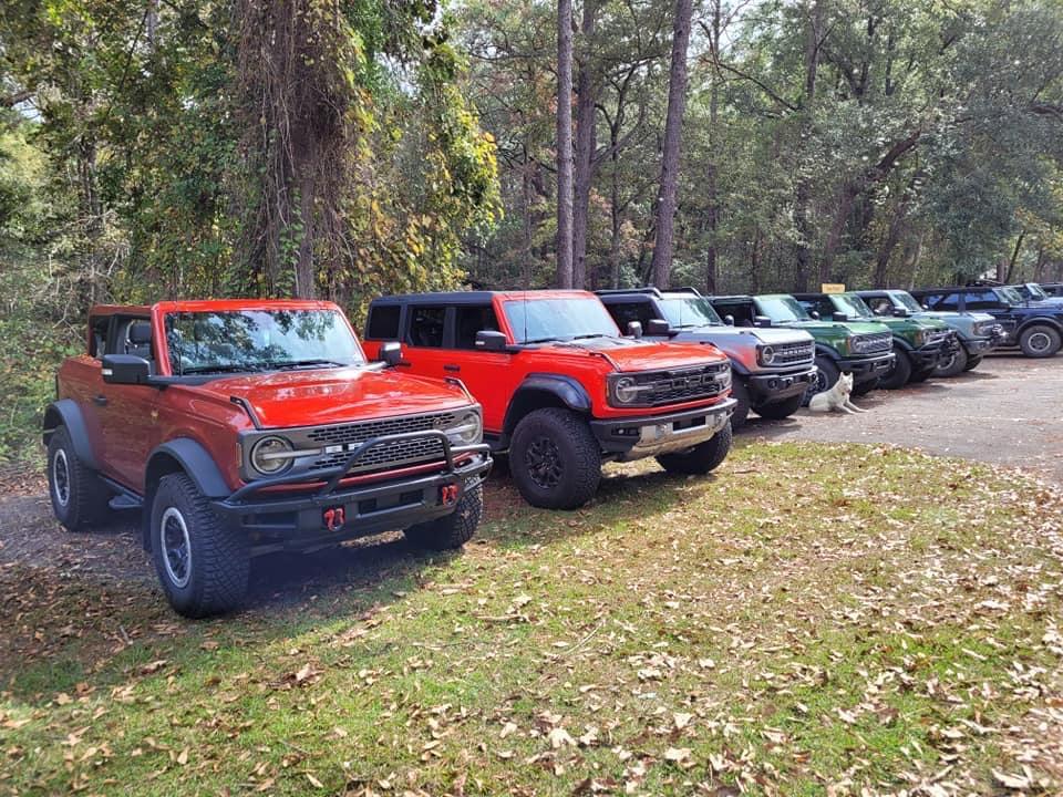 Ford Bronco Fall Forest Drive Through Conecuh National Forest IMG_7030