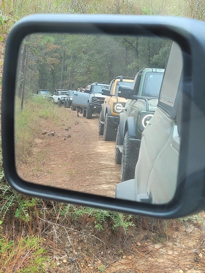 Ford Bronco Fall Forest Drive Through Conecuh National Forest IMG_7031