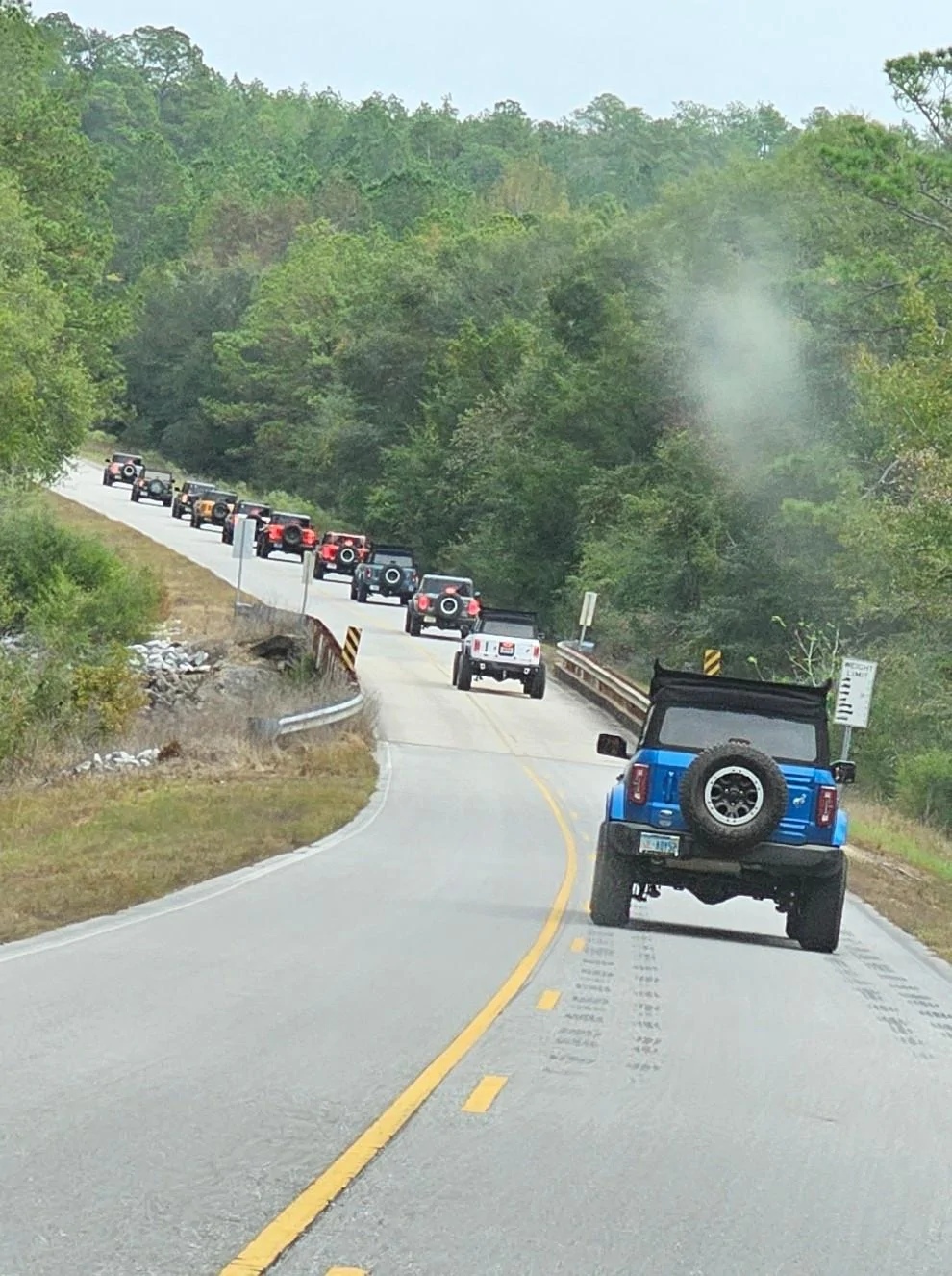 Ford Bronco Fall Forest Drive Through Conecuh National Forest 20231022_124338