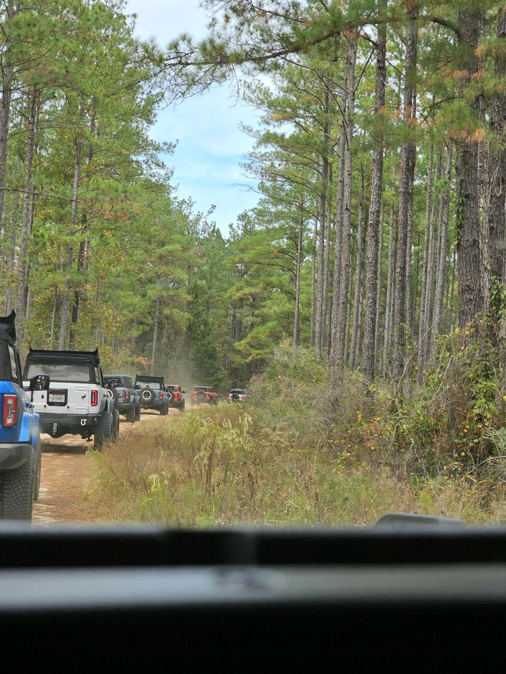 Ford Bronco Fall Forest Drive Through Conecuh National Forest 20231022_124507