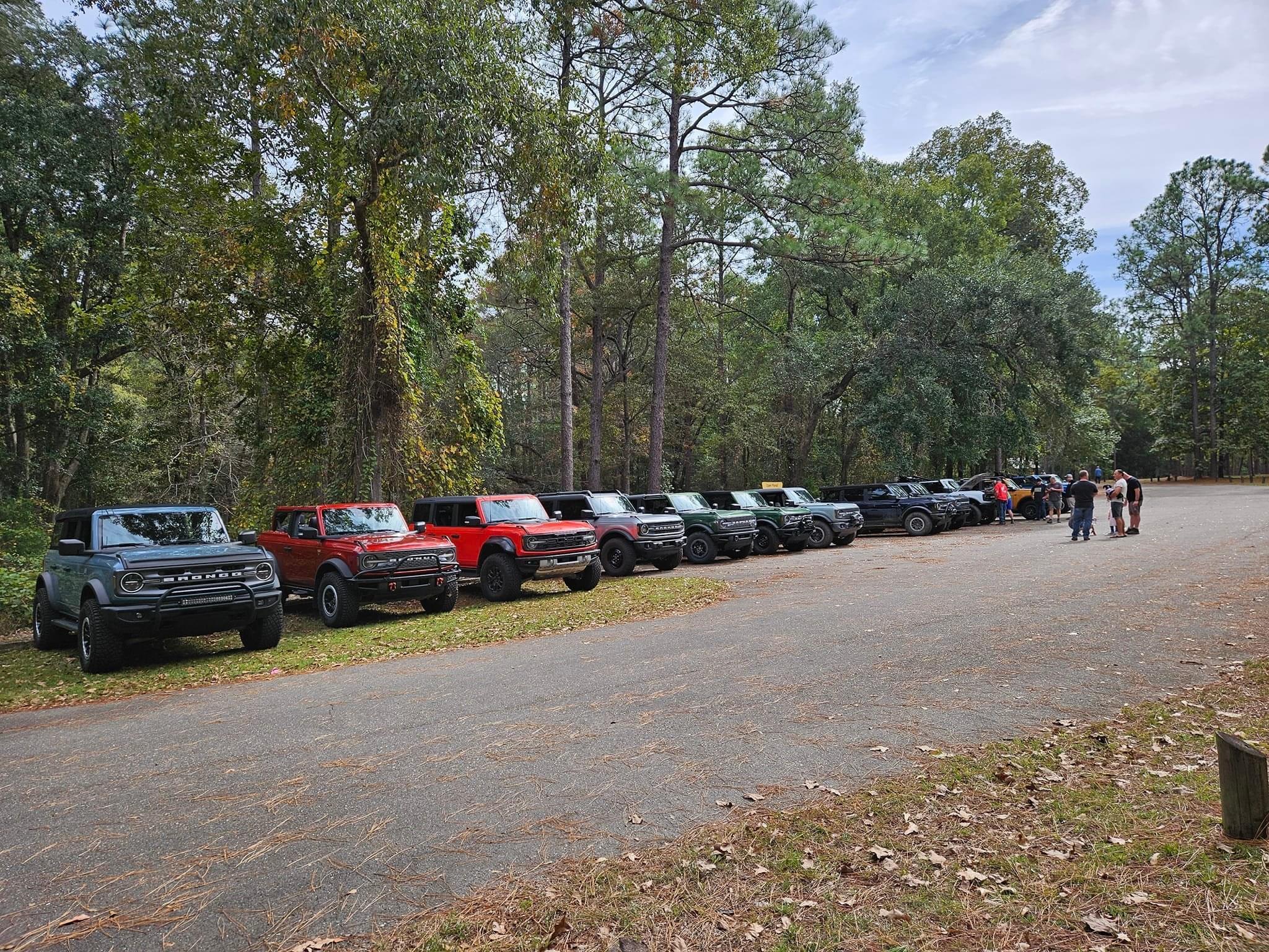 Ford Bronco Fall Forest Drive Through Conecuh National Forest IMG_7040