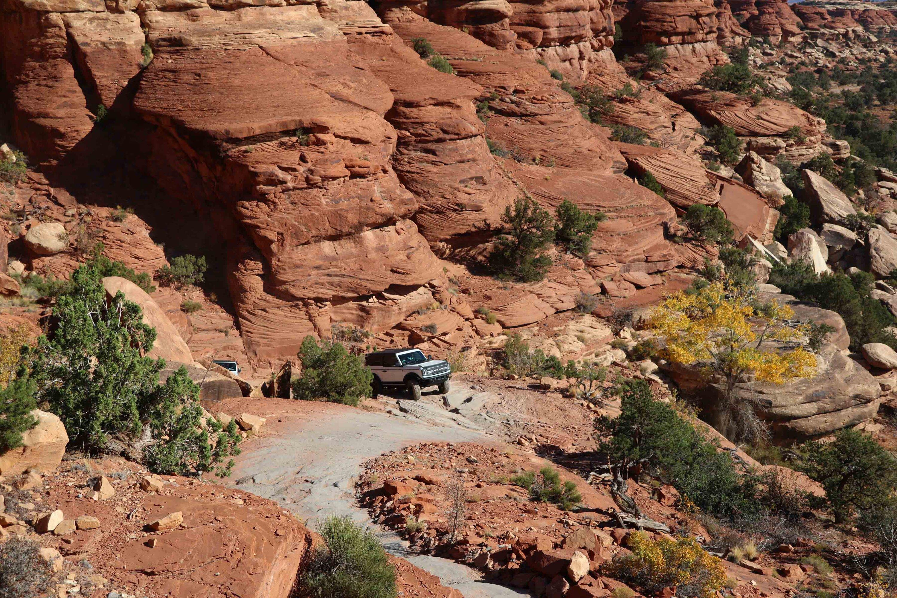 Ford Bronco Bronco Team 2 door. Trail 1