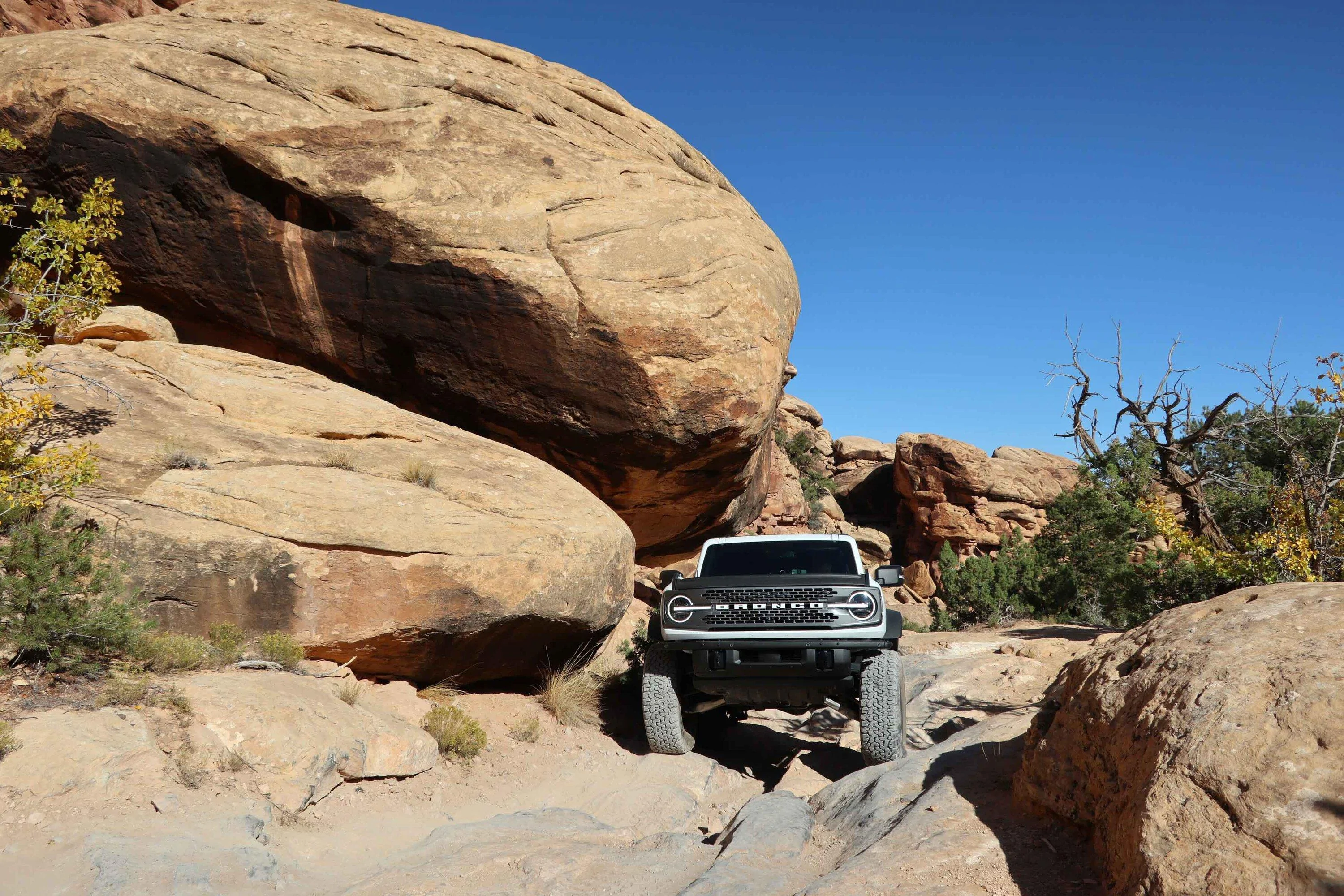Ford Bronco Bronco Team 2 door. Trail 3