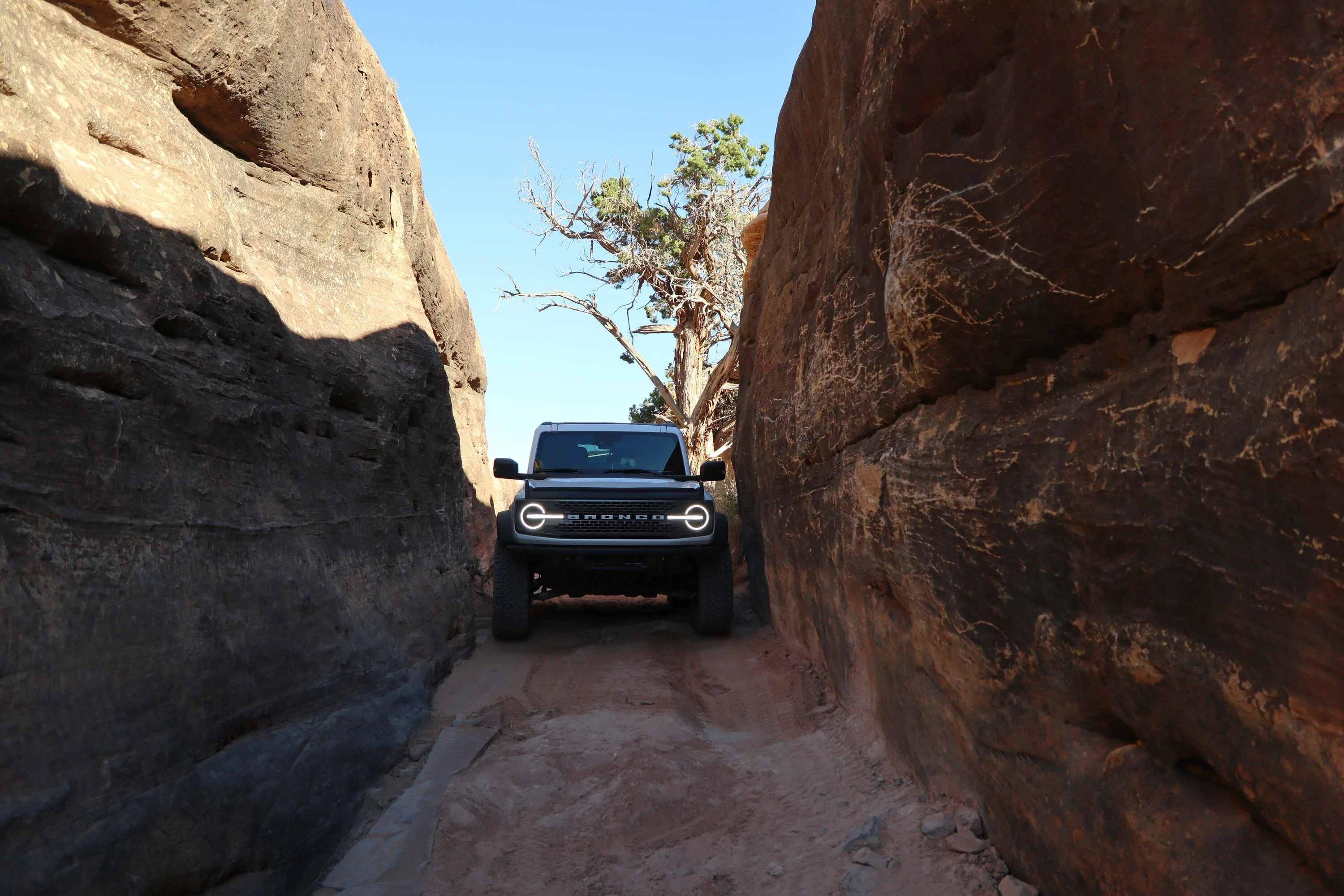 Ford Bronco Bronco Team 2 door. Trail 4