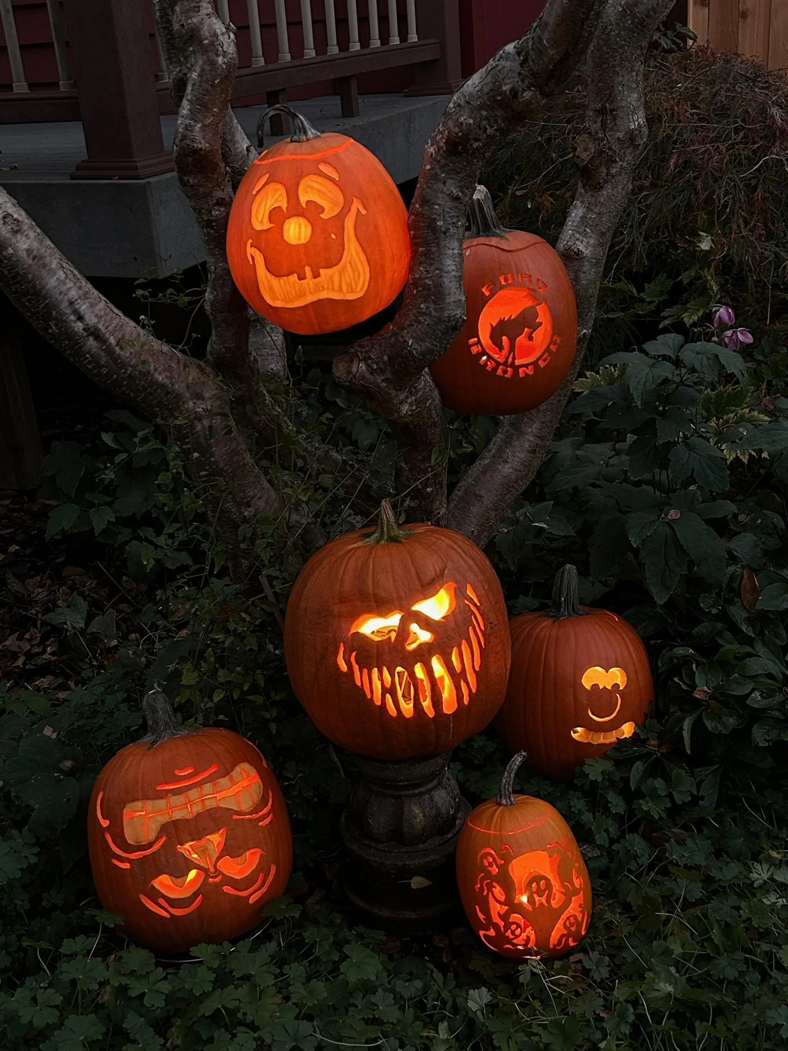 IMG_20231030_162228.webp