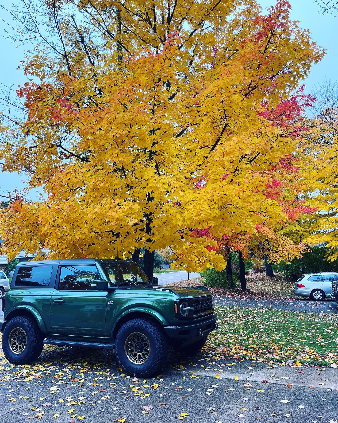 Ford Bronco Eruption Green Builds 1D56CAE4-1F8C-4F48-AB64-D6B32DB8E9E0